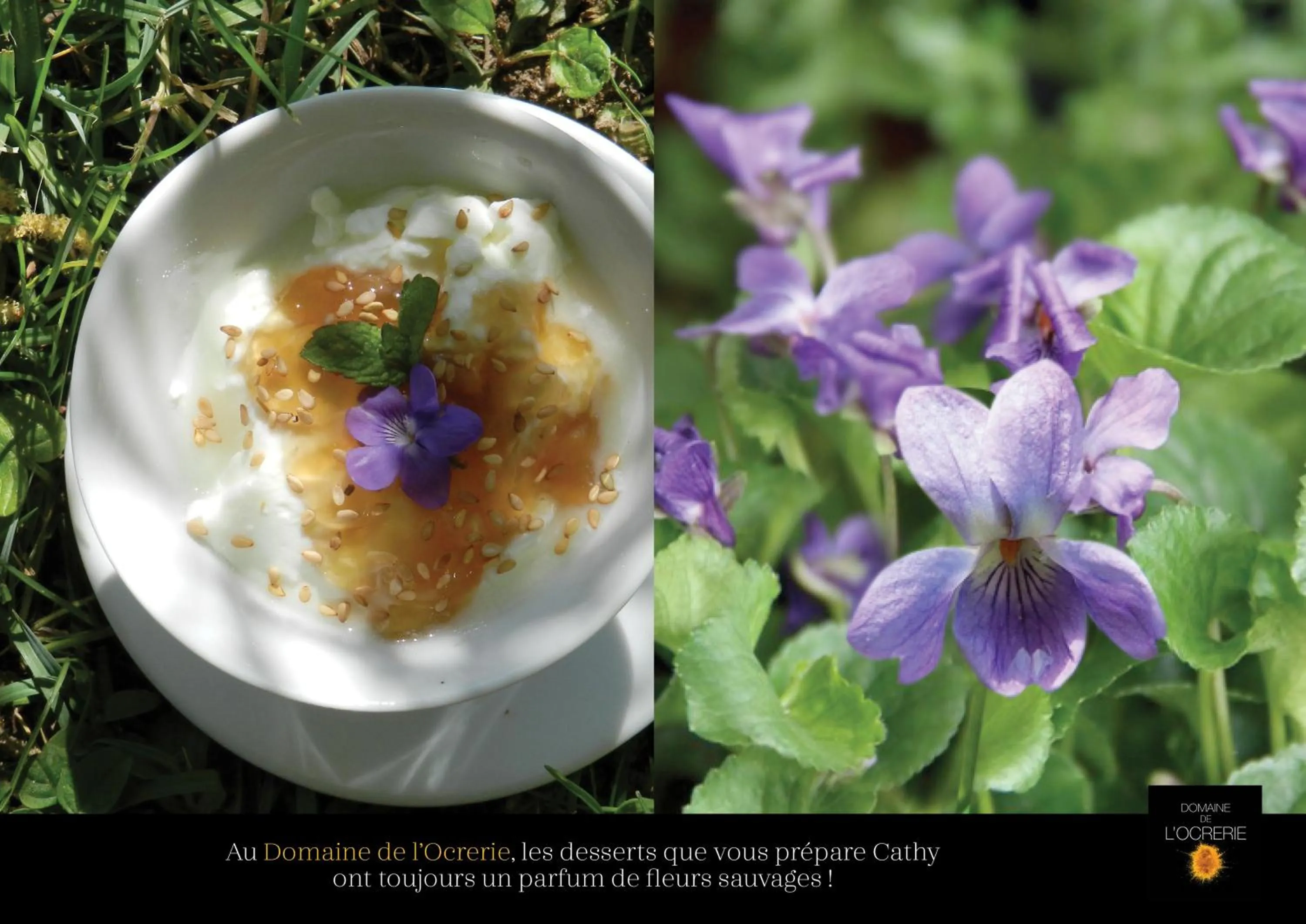 Spring in Art House Domaine de l'Ocrerie