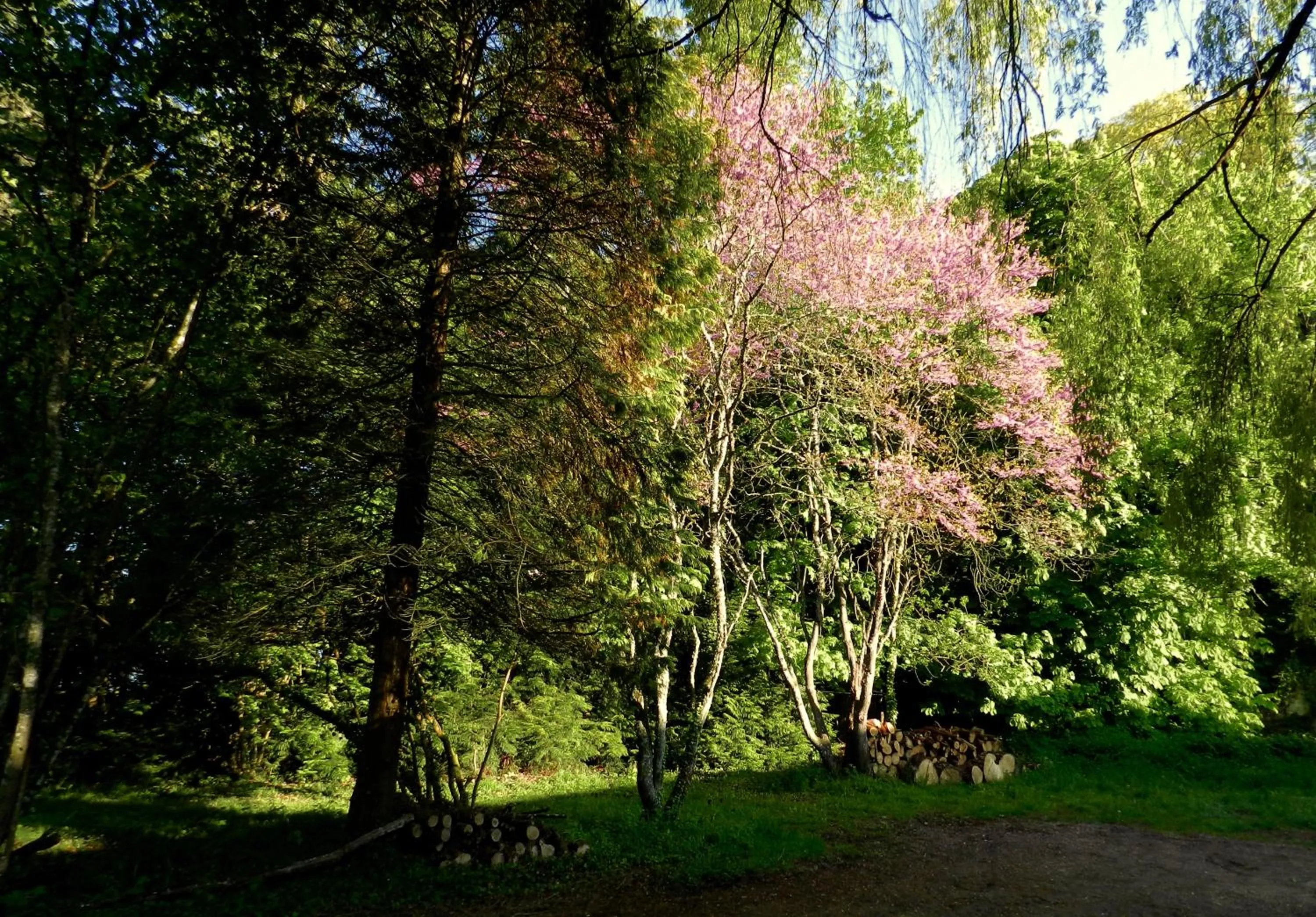 Natural landscape in Art House Domaine de l'Ocrerie