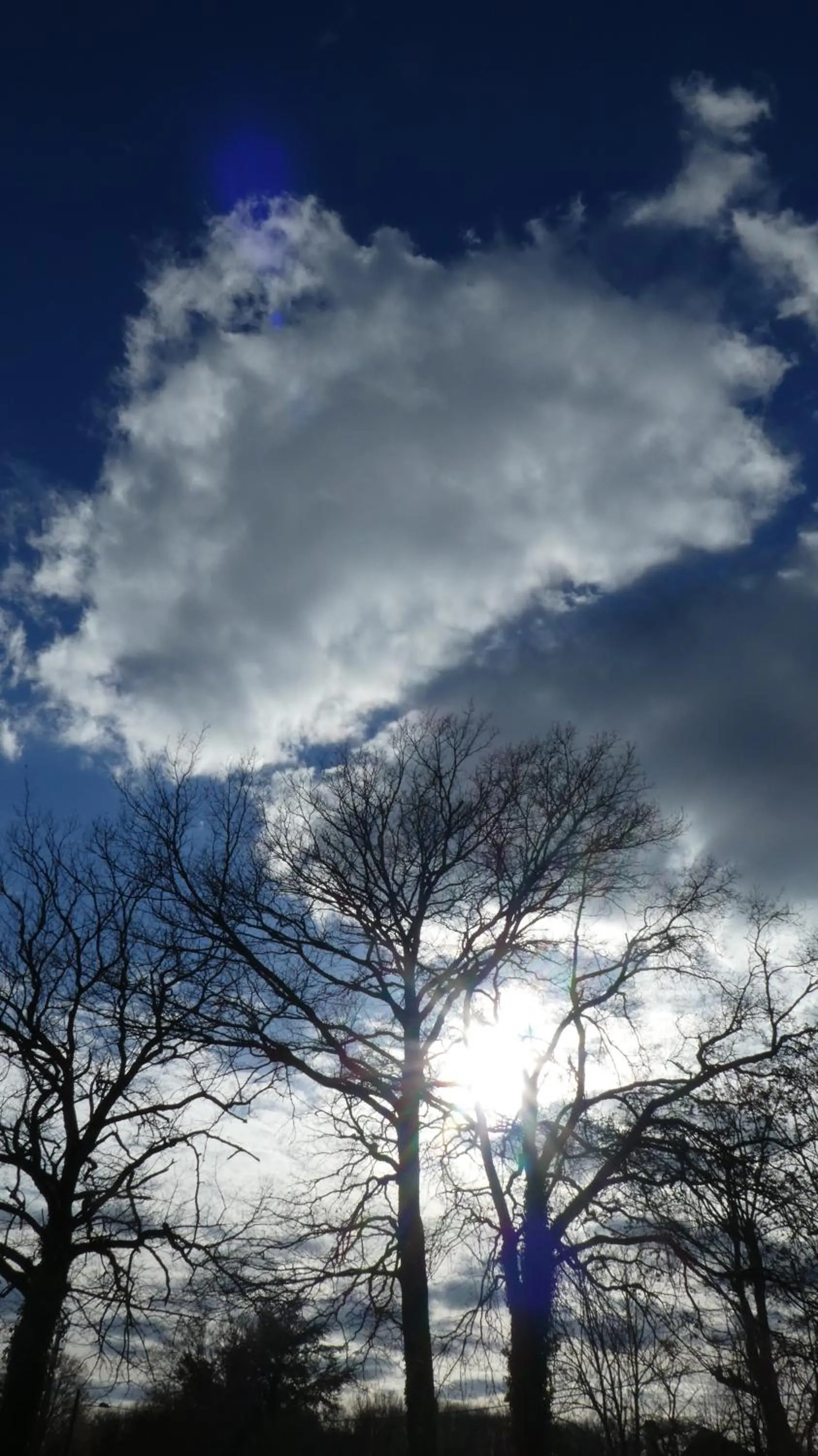 Natural landscape in Art House Domaine de l'Ocrerie
