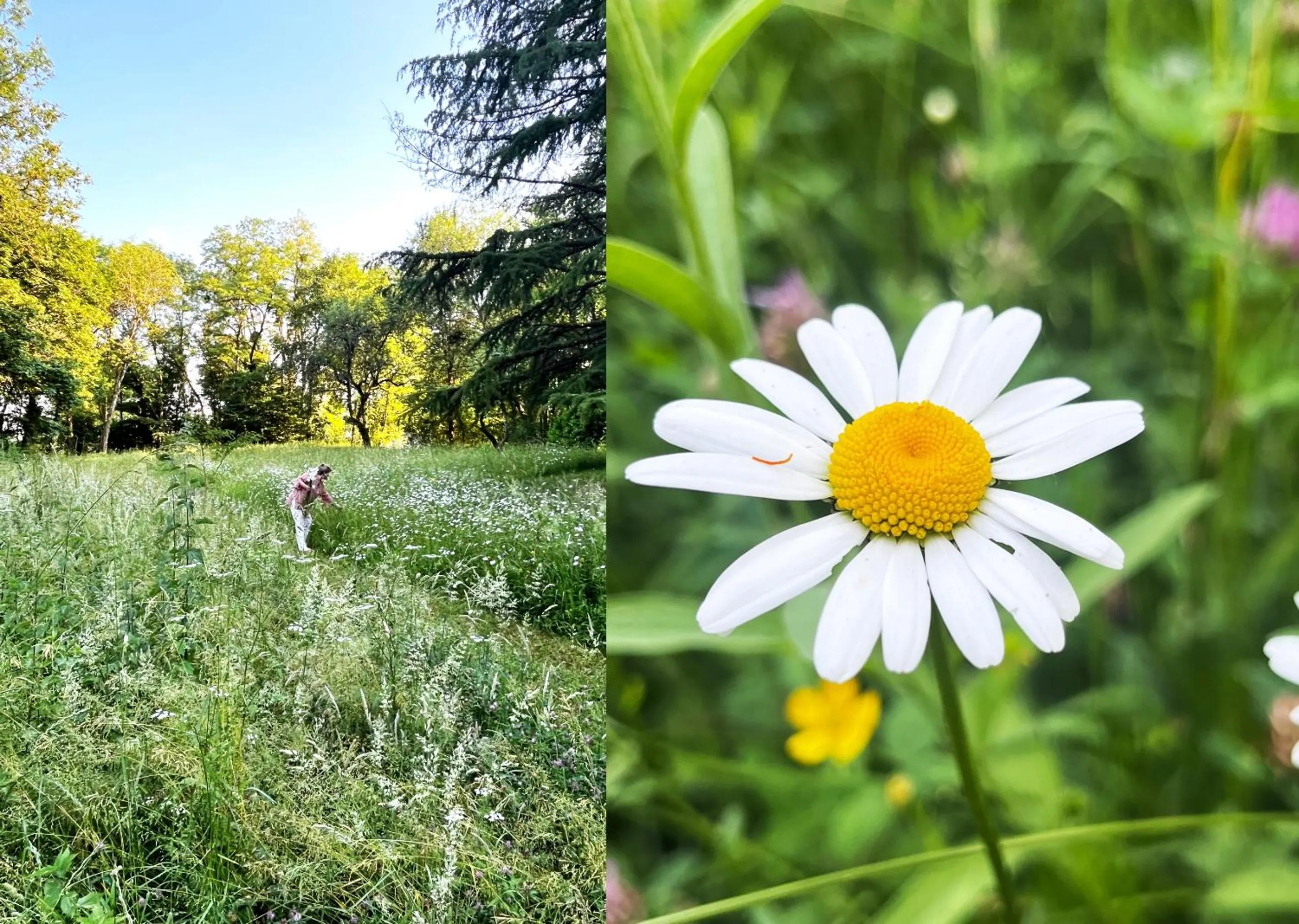 Garden in Art House Domaine de l'Ocrerie