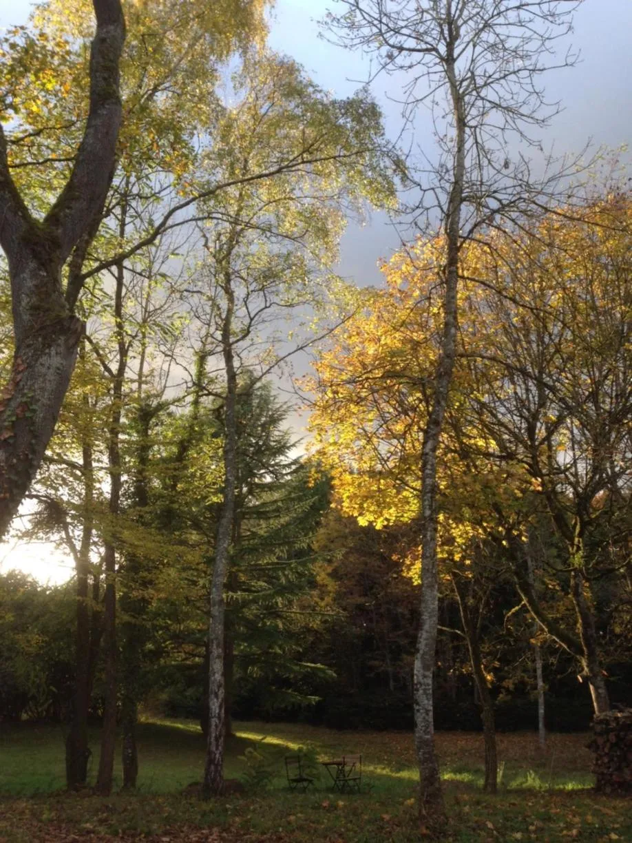 Natural landscape in Art House Domaine de l'Ocrerie