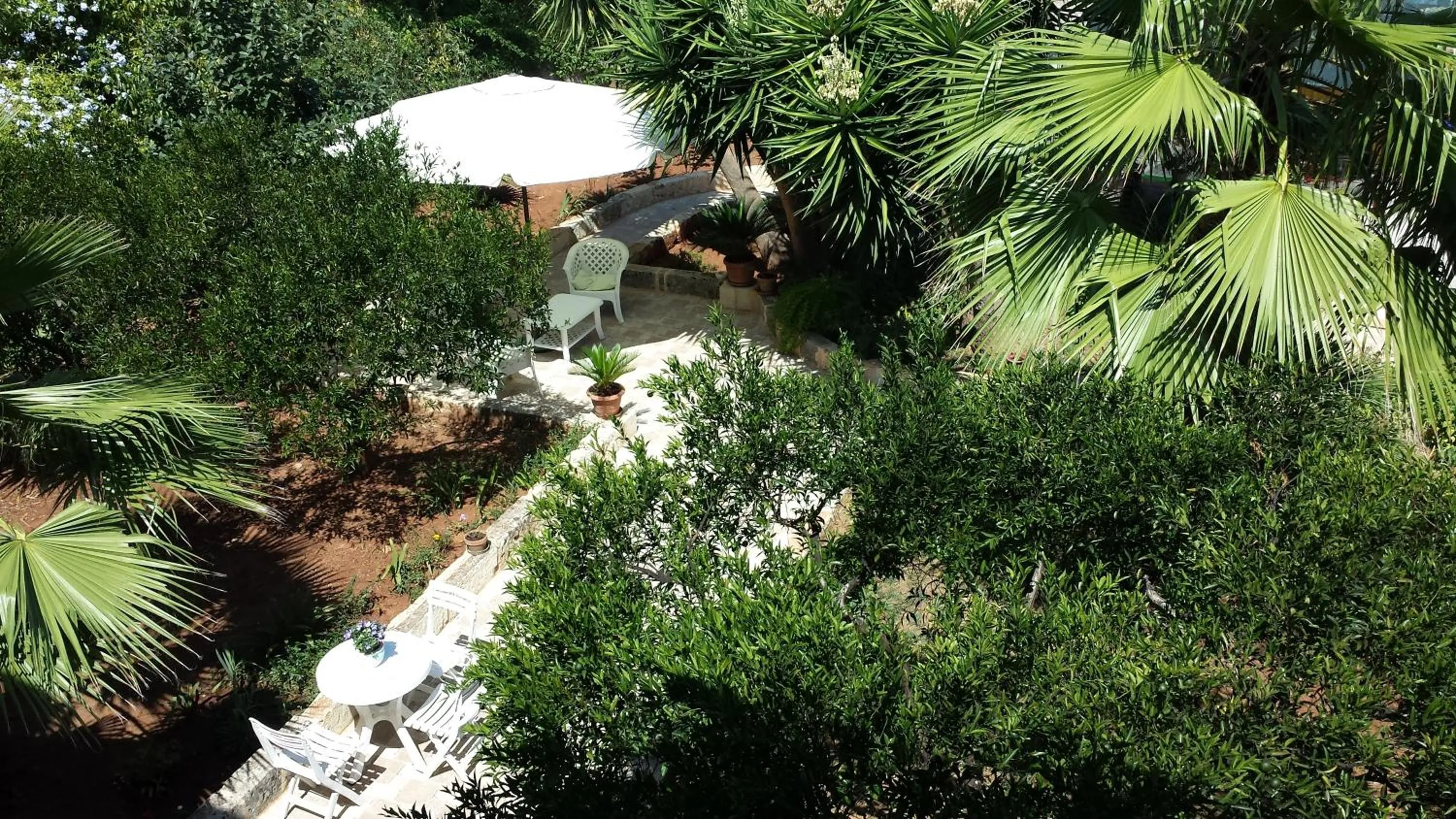 Garden in B&B Pittoresco