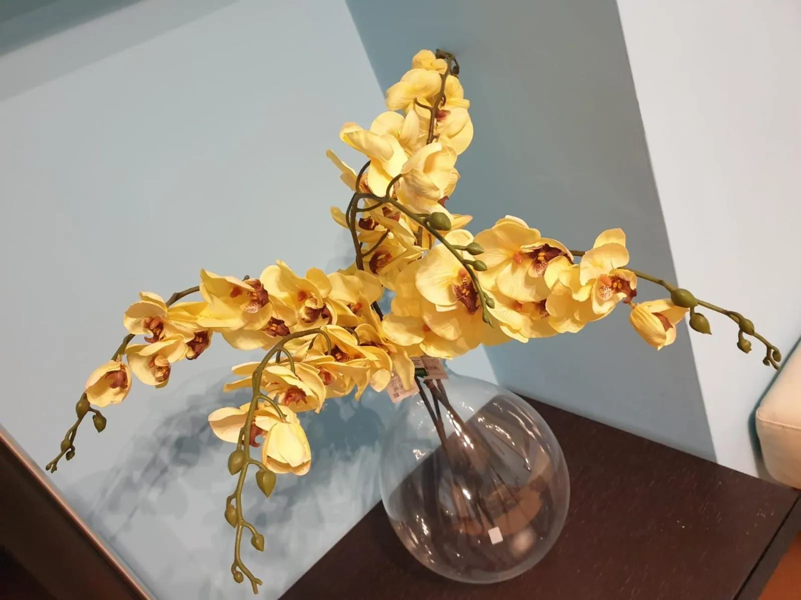 Decorative detail in Juliette Rooms