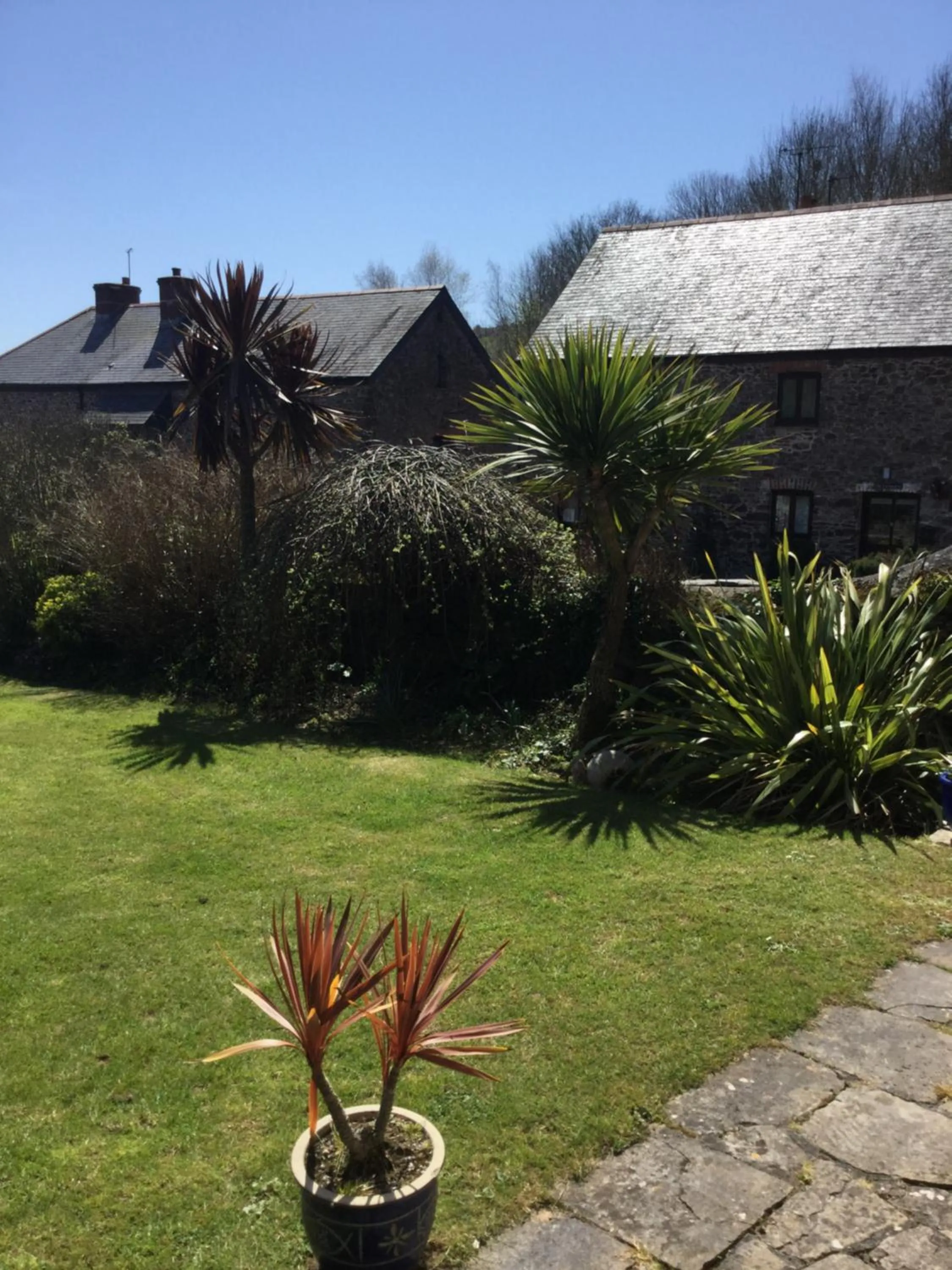 Garden in Coombe House B&B