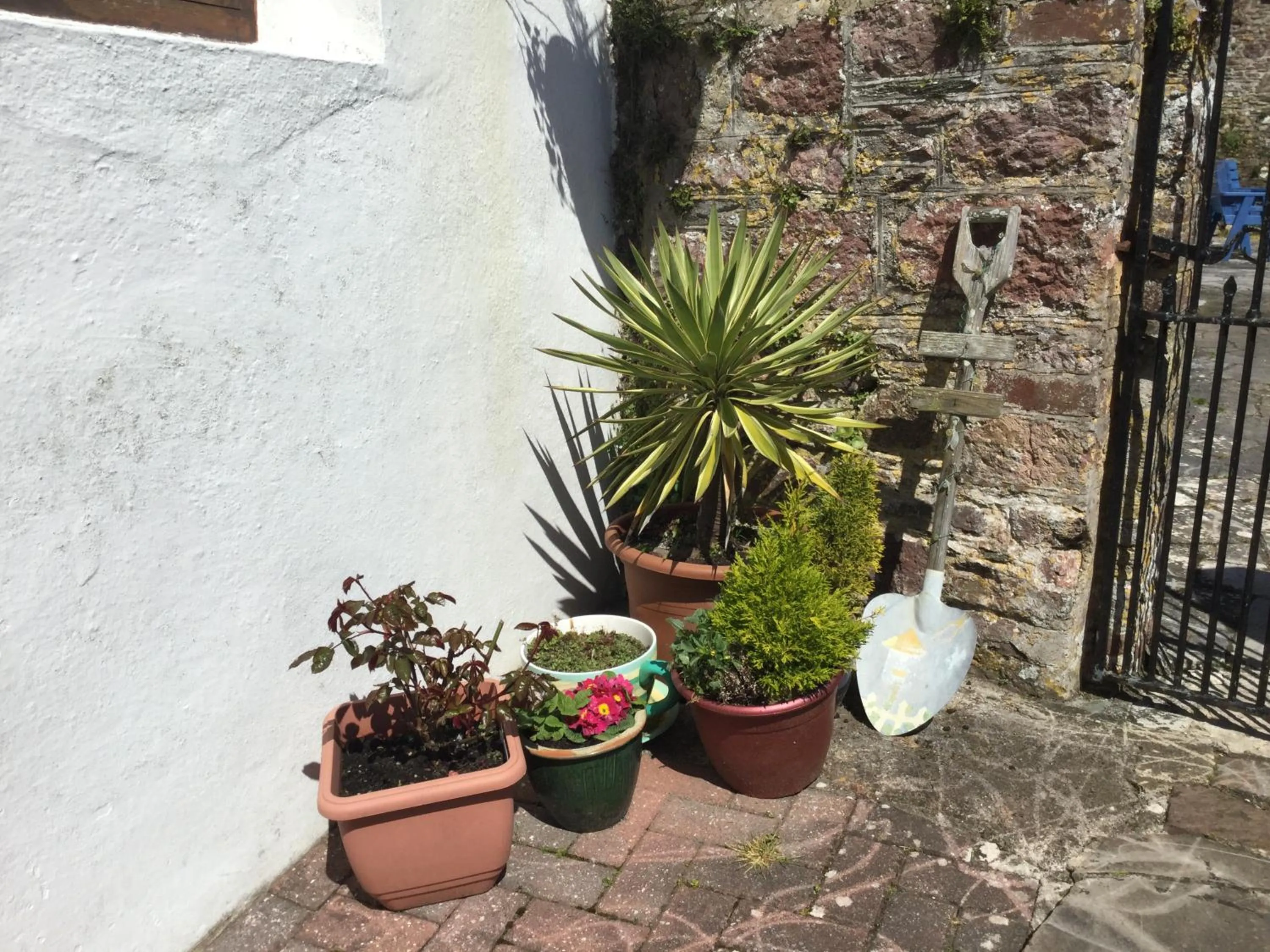 Garden in Coombe House B&B