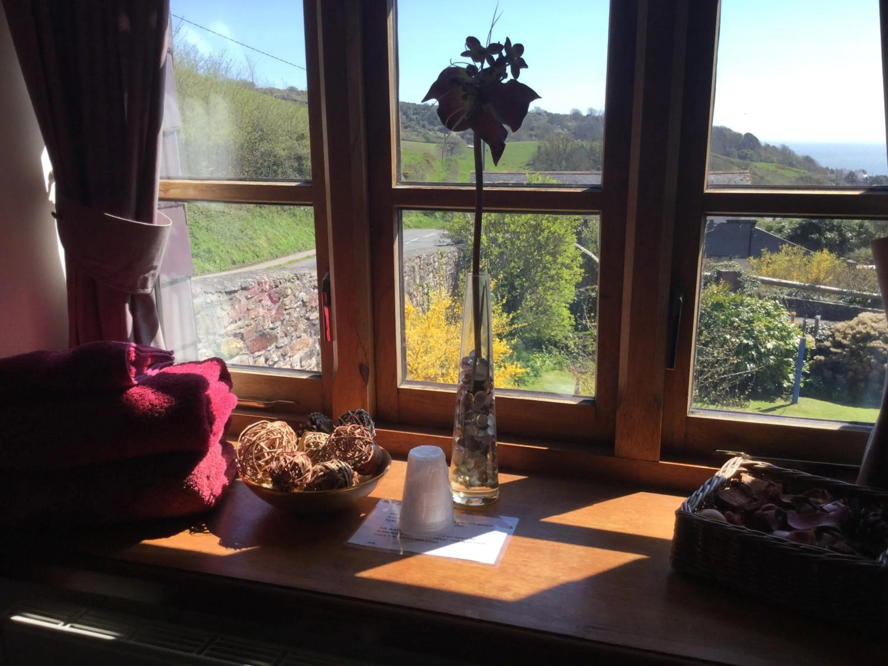 Garden view in Coombe House B&B