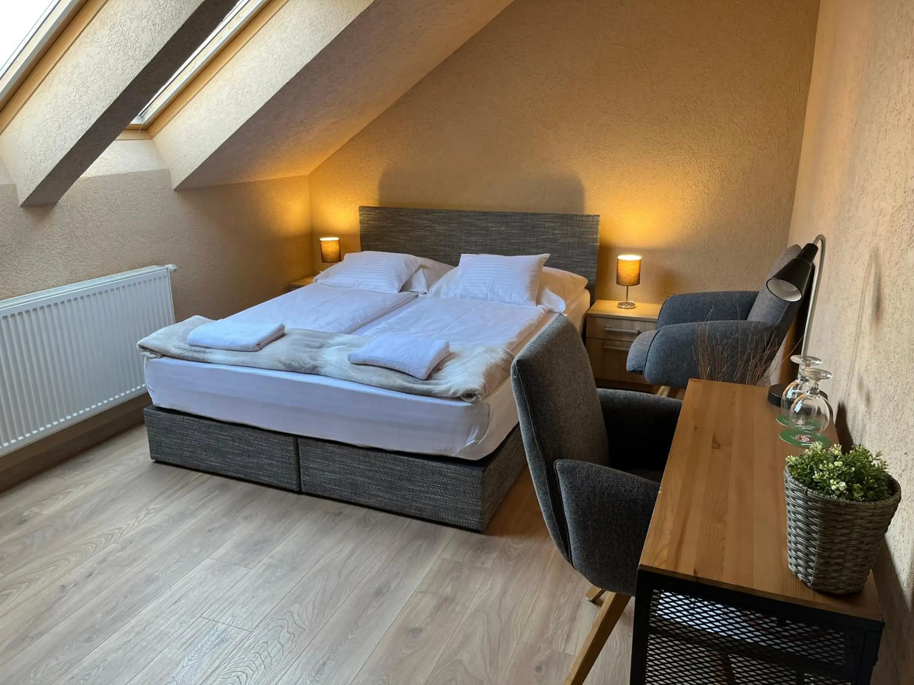 Double Room - single occupancy in Malom Club Panzió Double Room - single occupancy in Malom Club Panzió