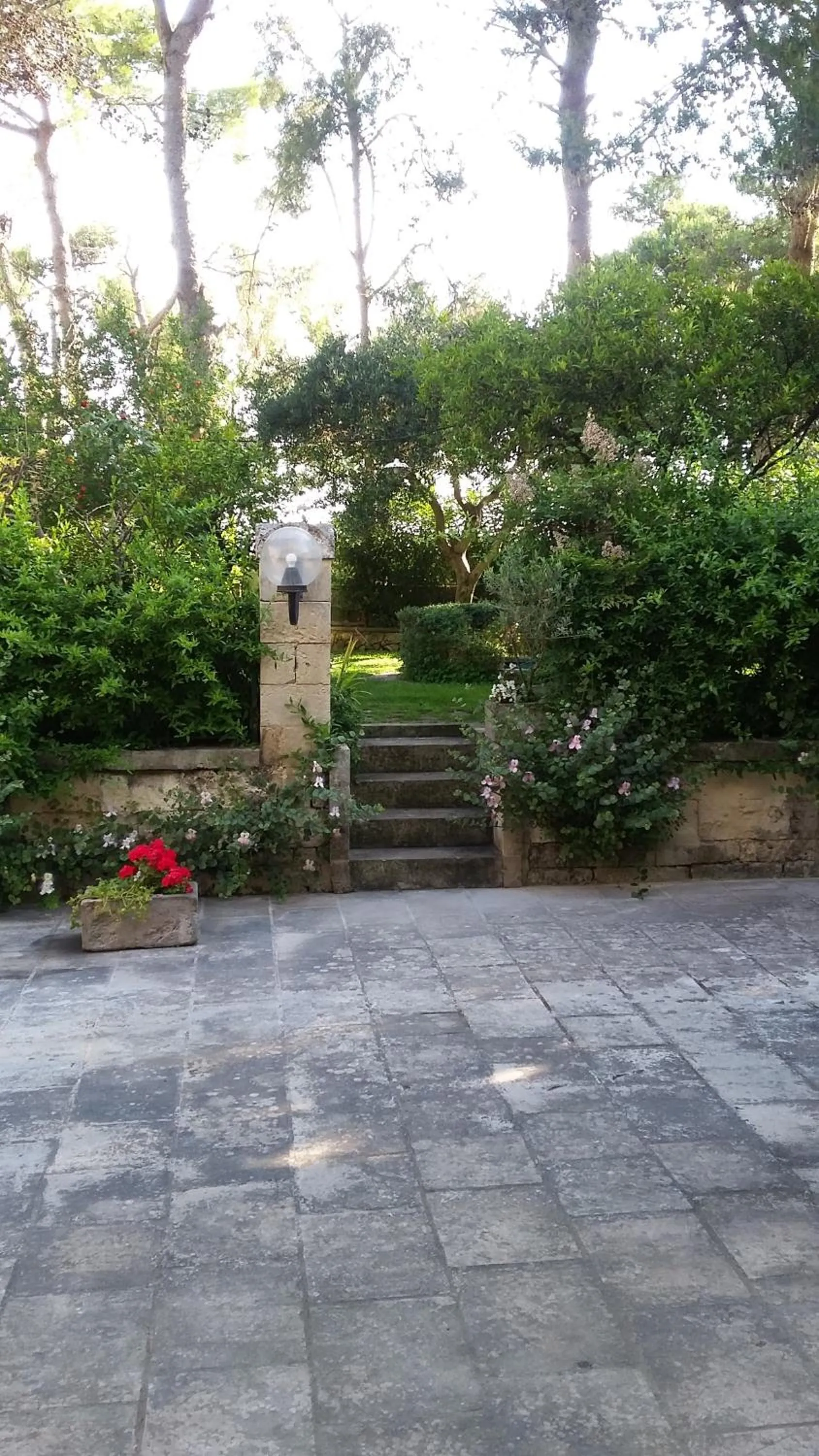 Garden in Masseria Gattamora