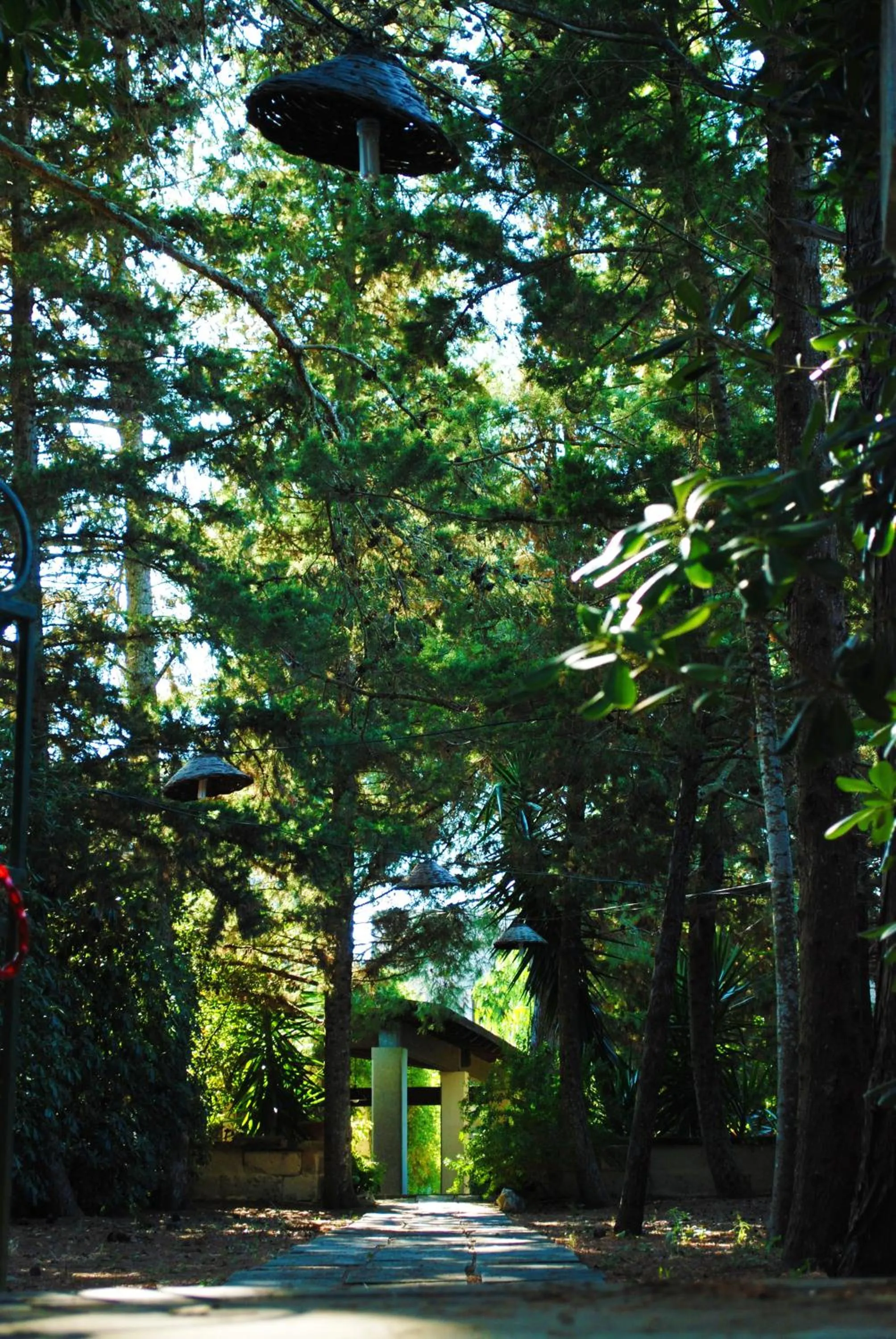 Garden view in Masseria Gattamora