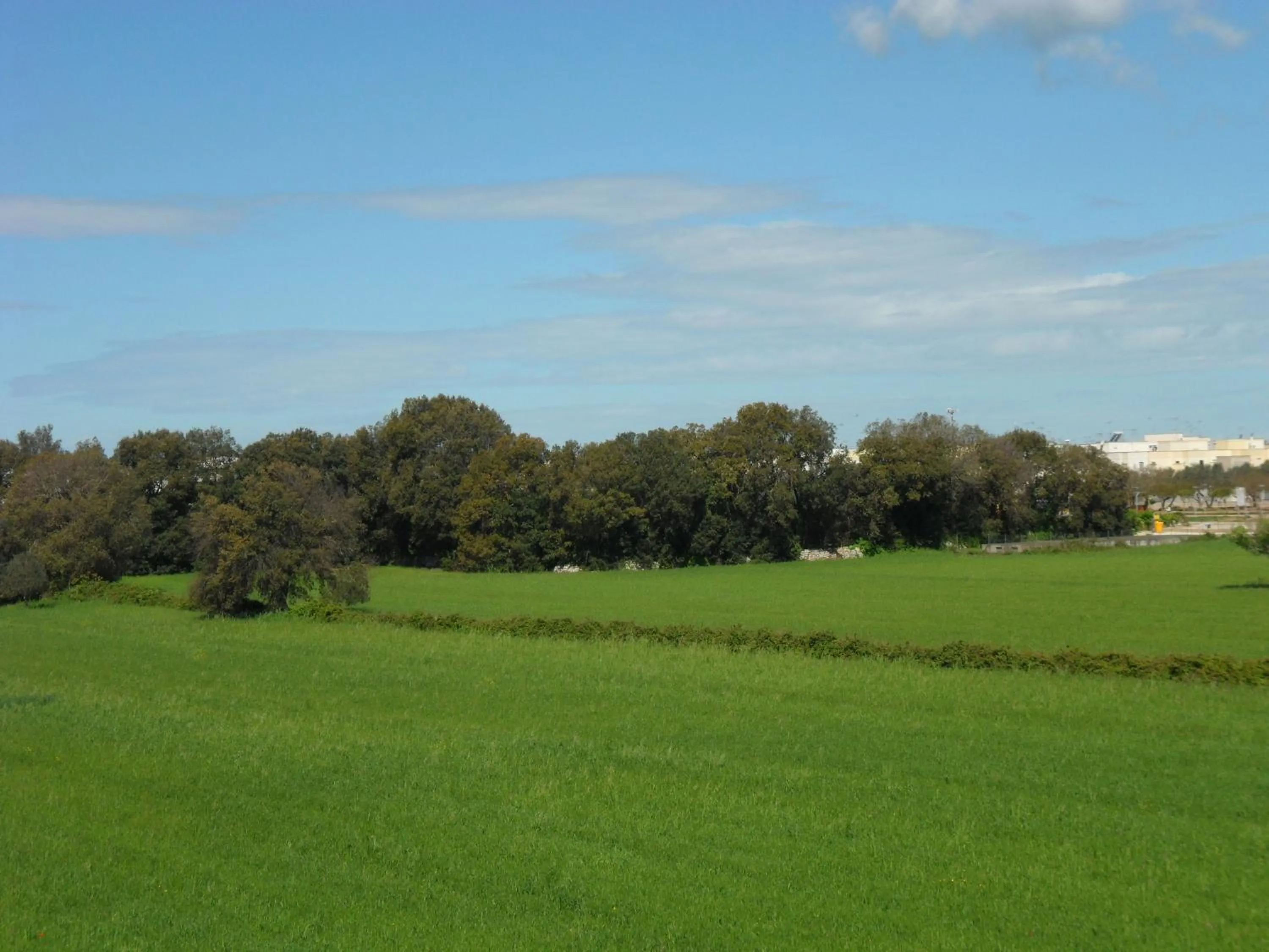 Garden in Masseria Gattamora
