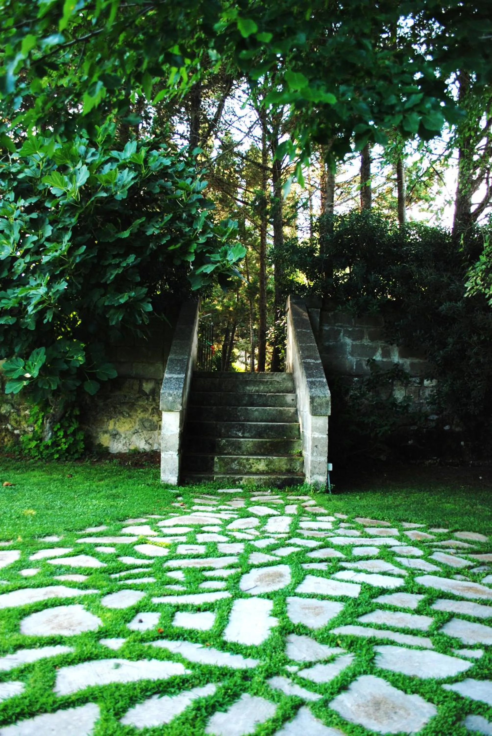 Garden in Masseria Gattamora