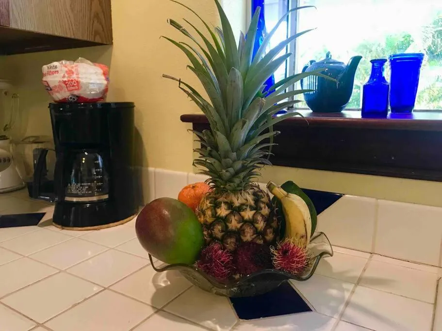 Hawaii Tropical Volcano mansion + Sauna