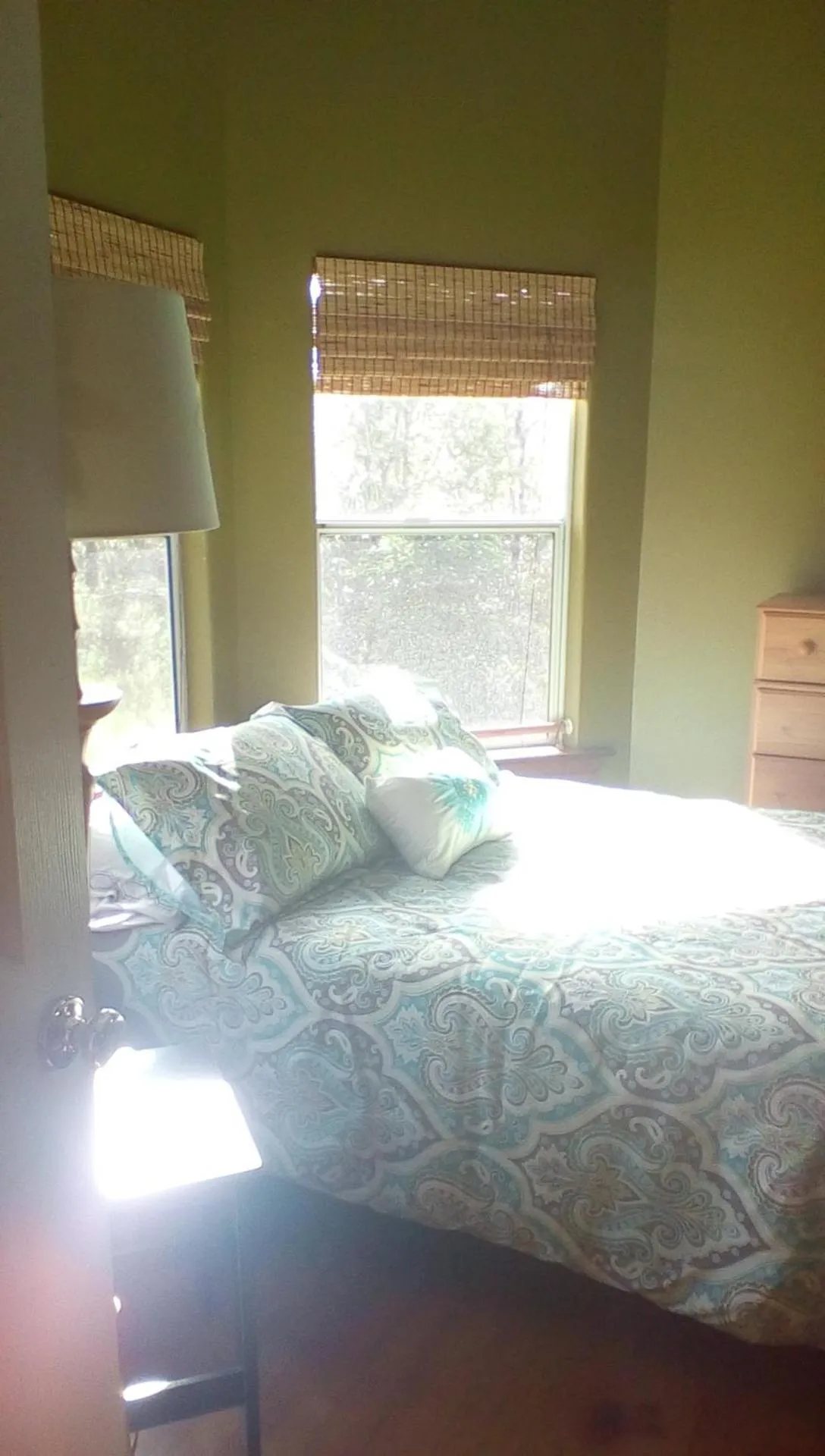 Hawaii Tropical Volcano mansion + Sauna