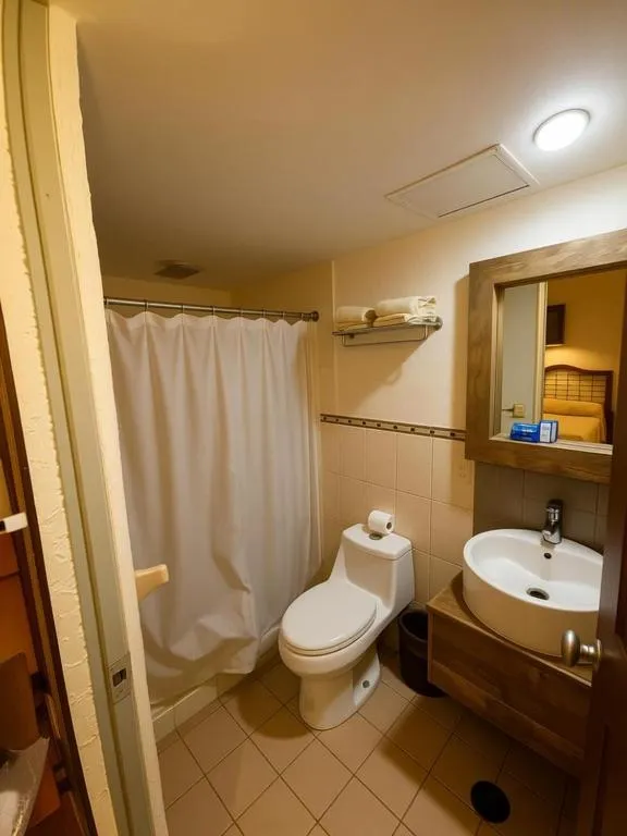 Hotel Plaza Independencia