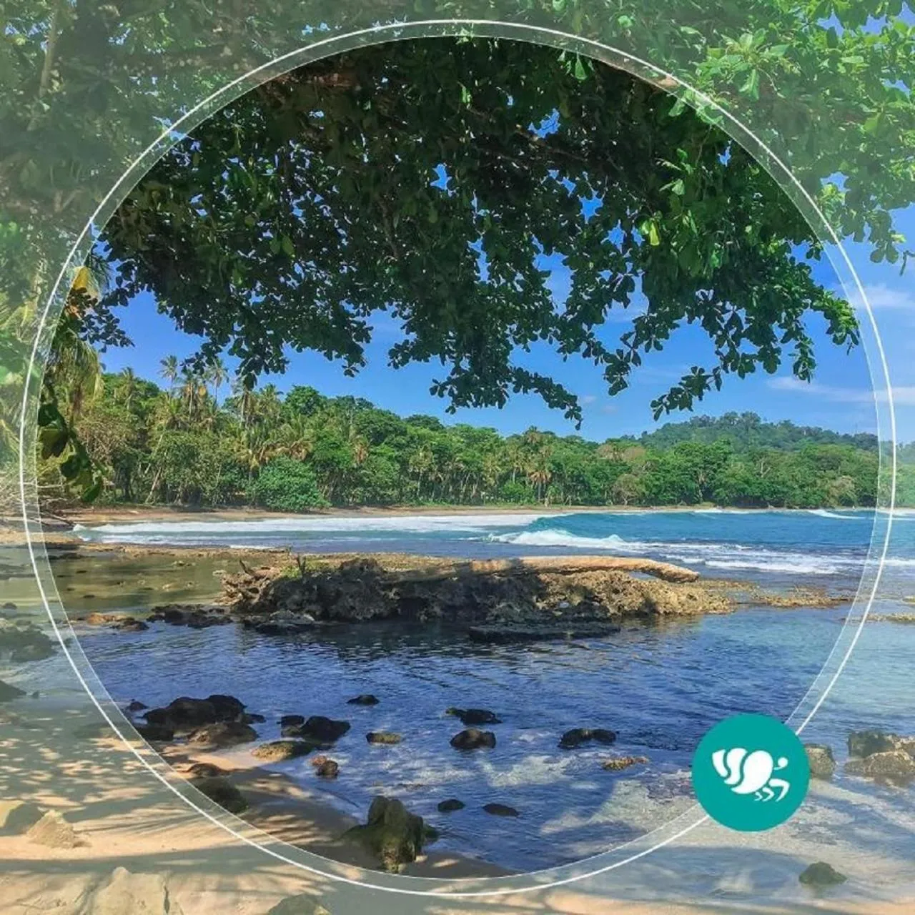 Beach in Villas del Caribe