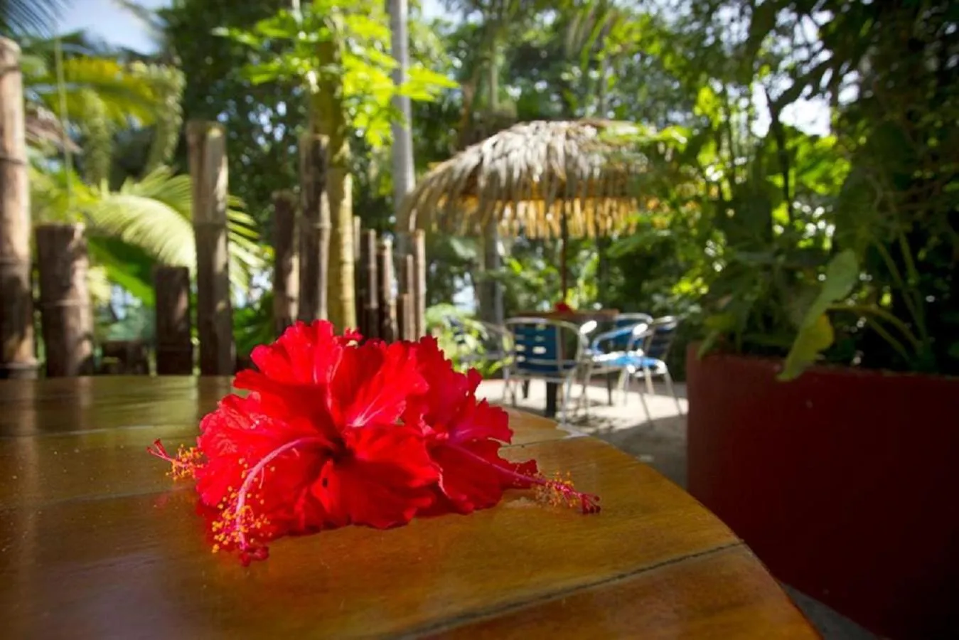 Restaurant/places to eat in Villas del Caribe