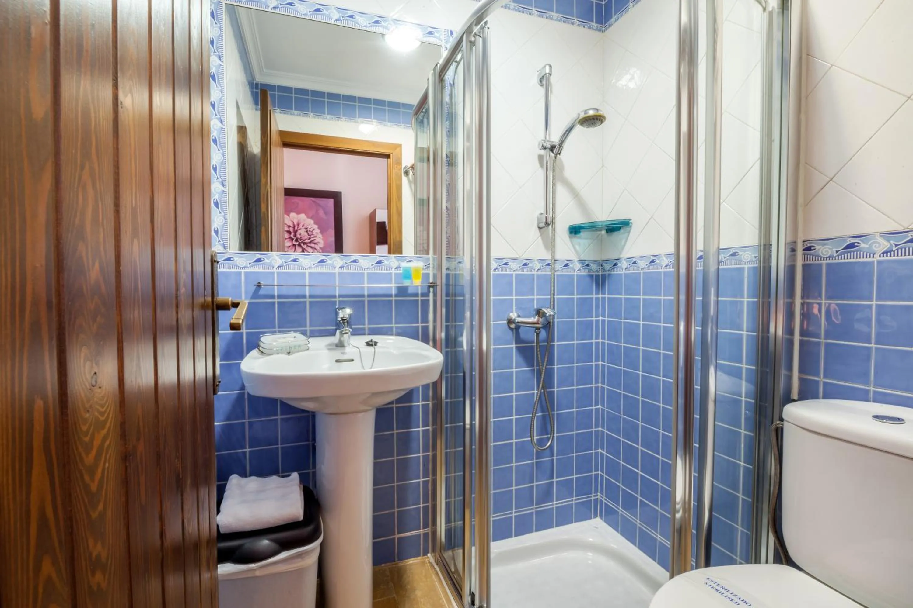 Single Room in El Asturiano