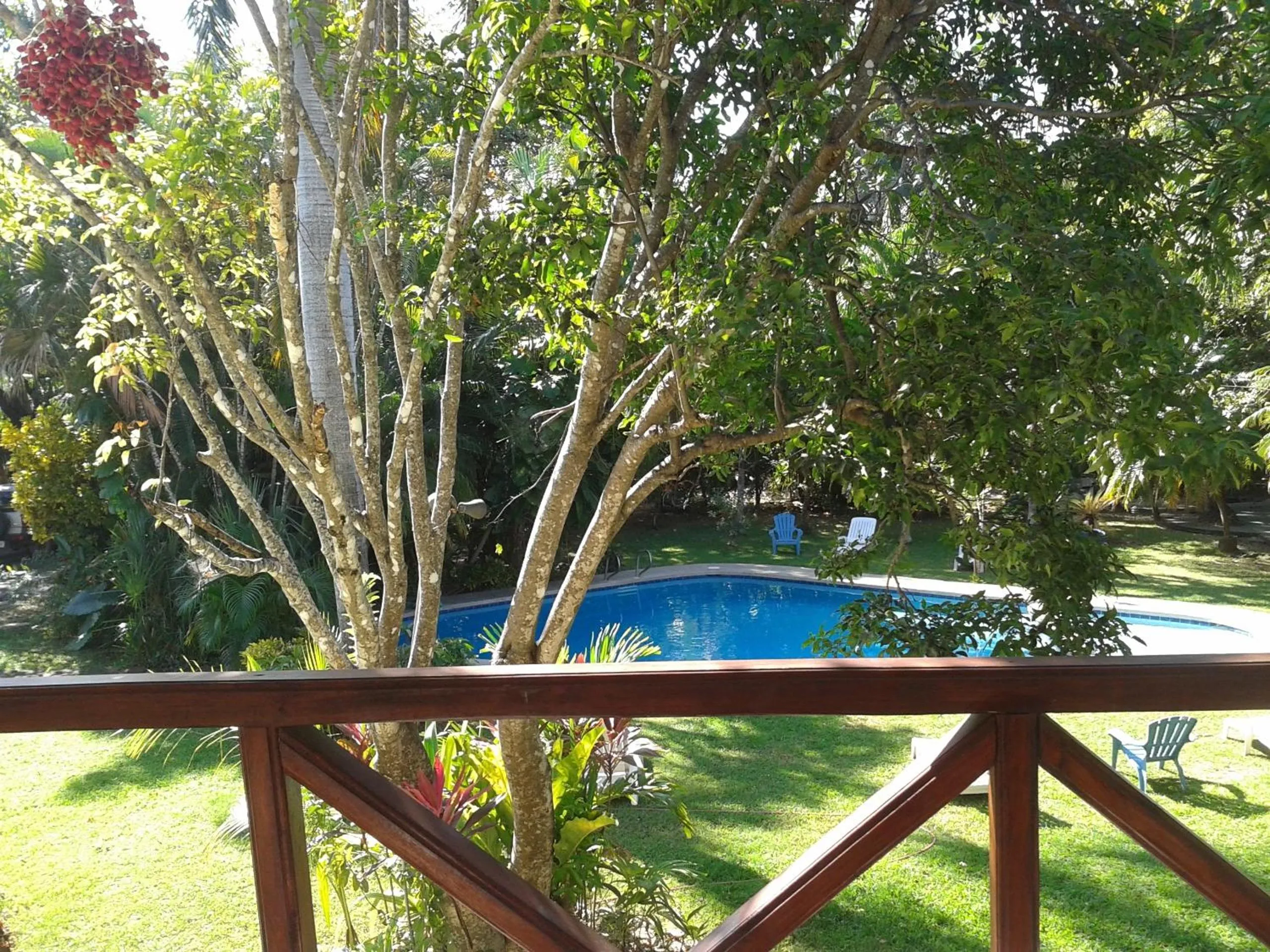 Balcony/Terrace in Samara Beach Hotel