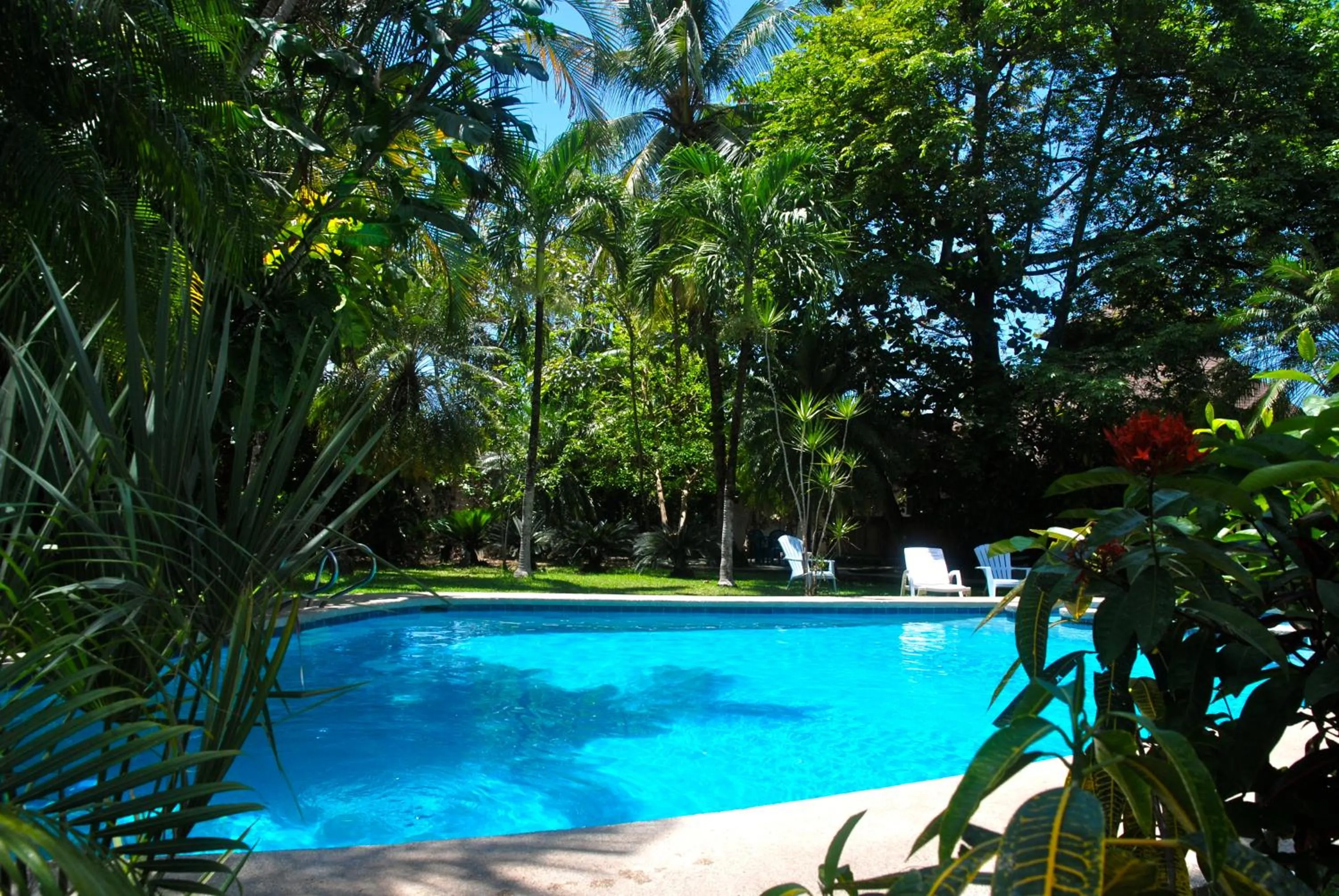 Swimming pool in Samara Beach Hotel
