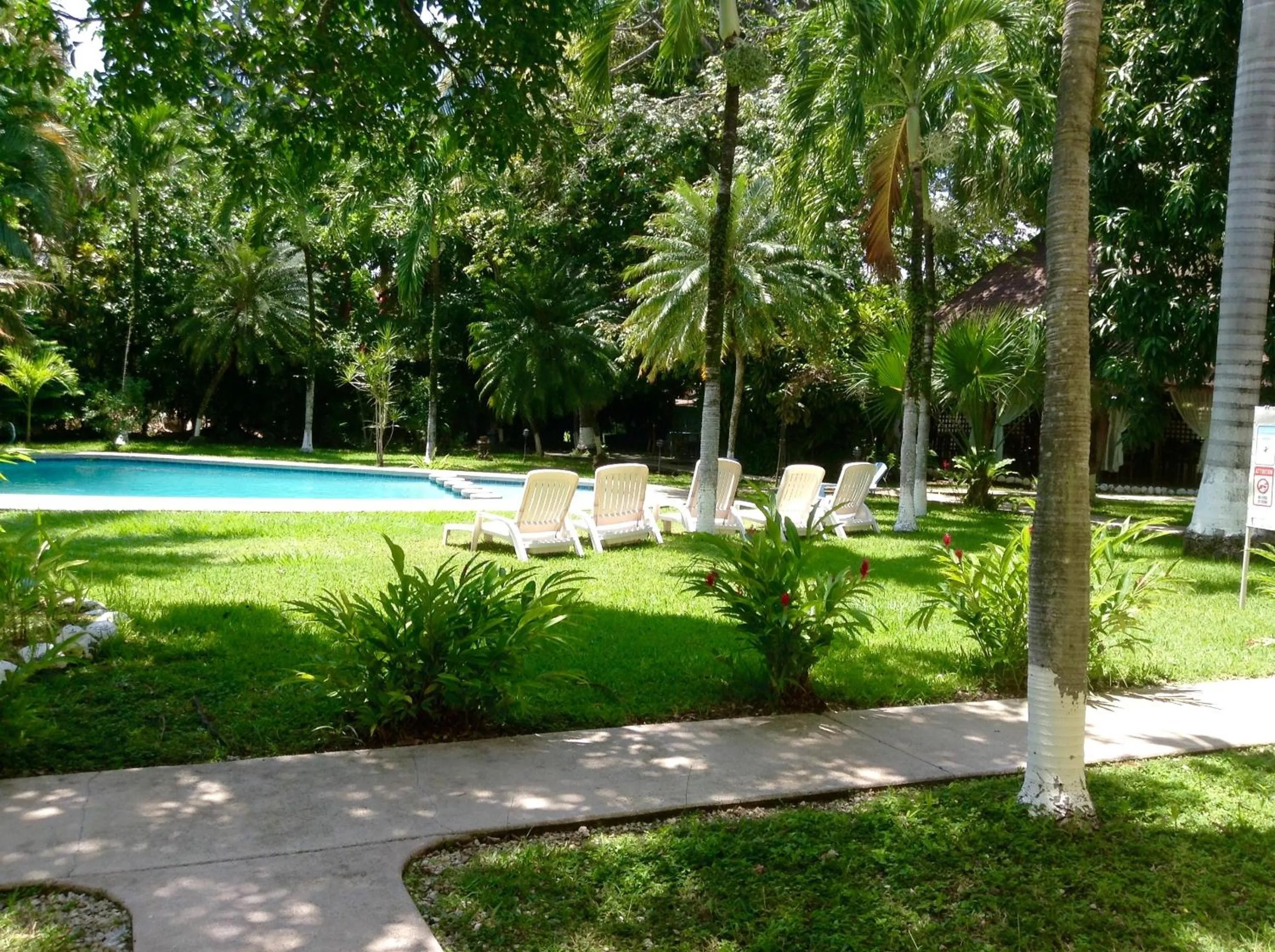 Garden in Samara Beach Hotel