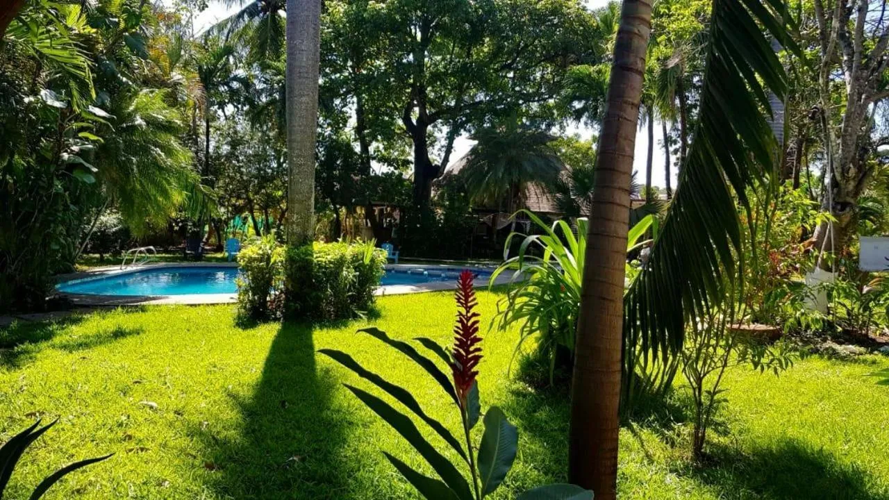 Swimming pool in Samara Beach Hotel
