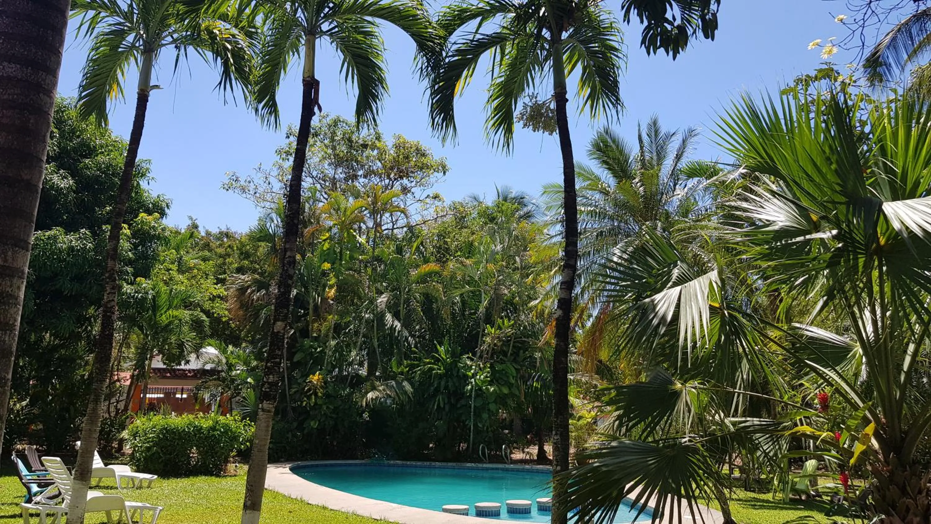 Day in Samara Beach Hotel