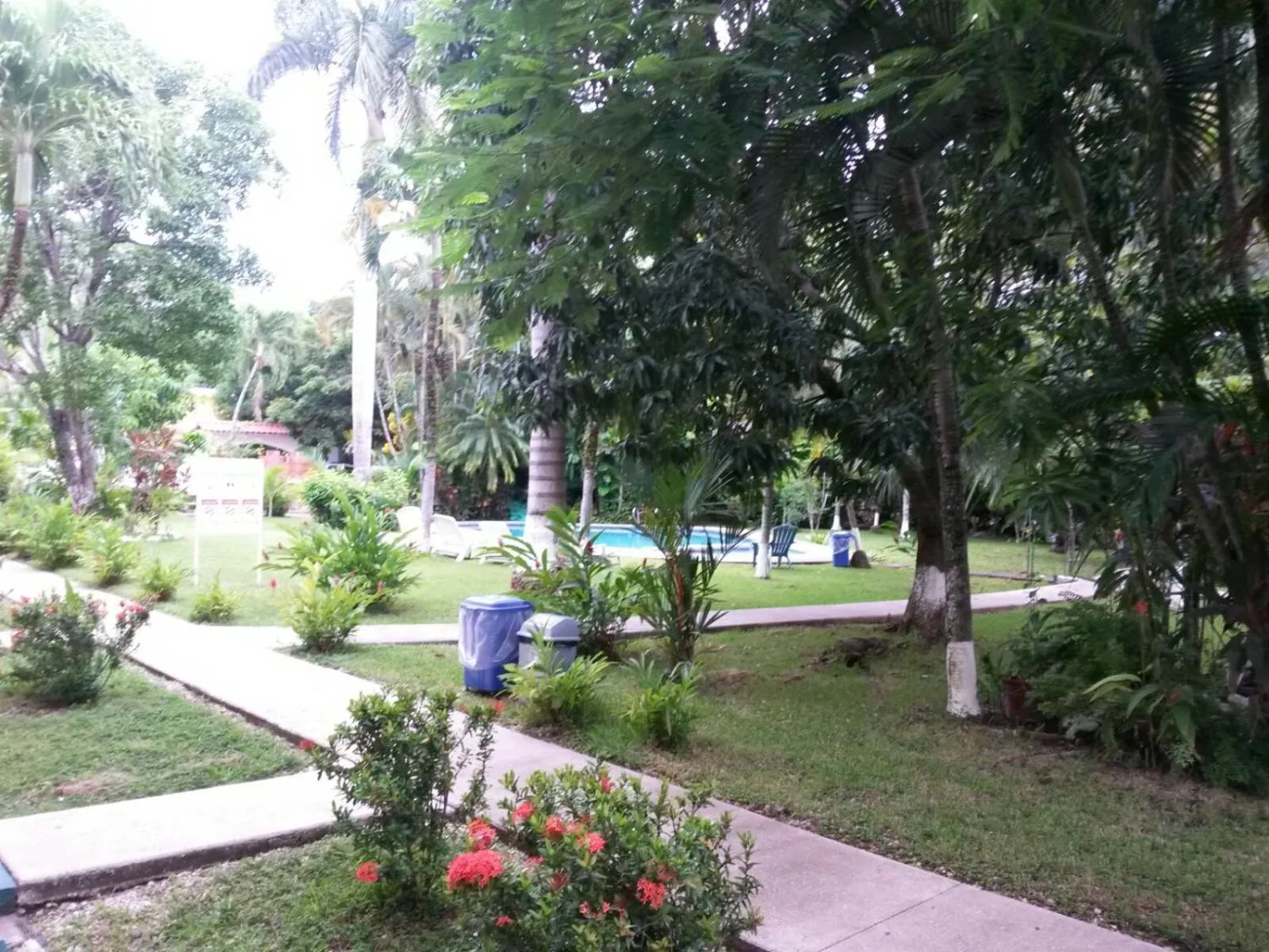 Garden in Samara Beach Hotel
