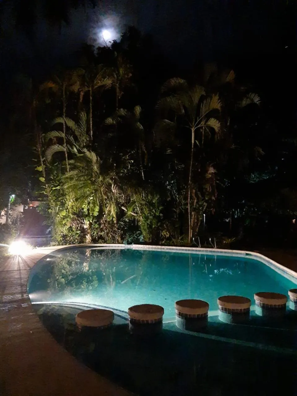 Garden in Samara Beach Hotel