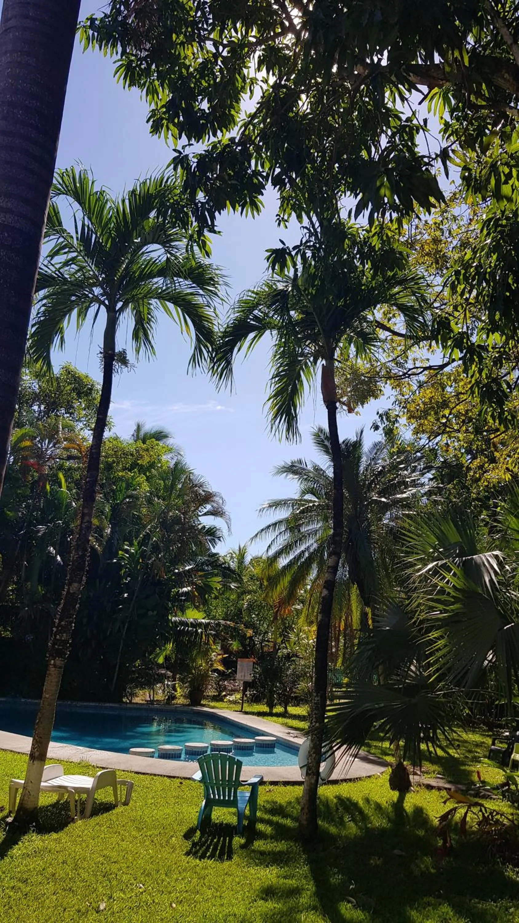 Garden in Samara Beach Hotel
