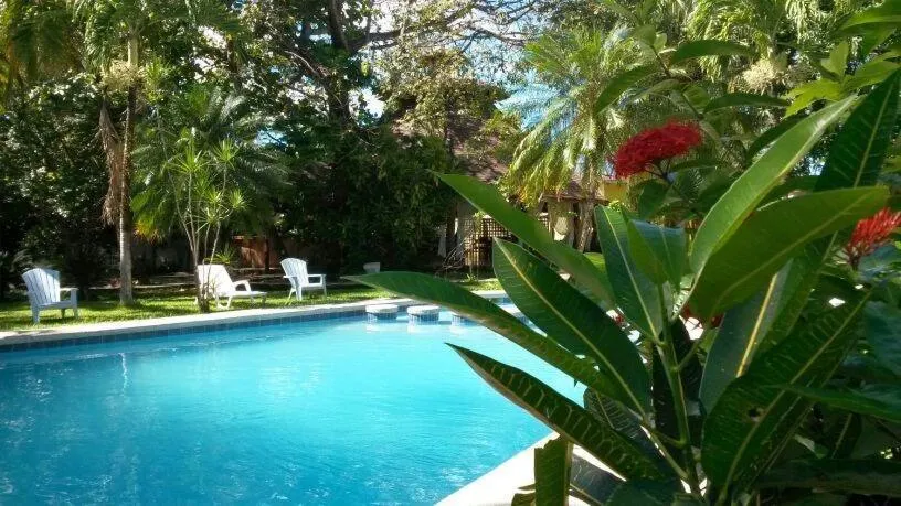 Swimming pool in Samara Beach Hotel