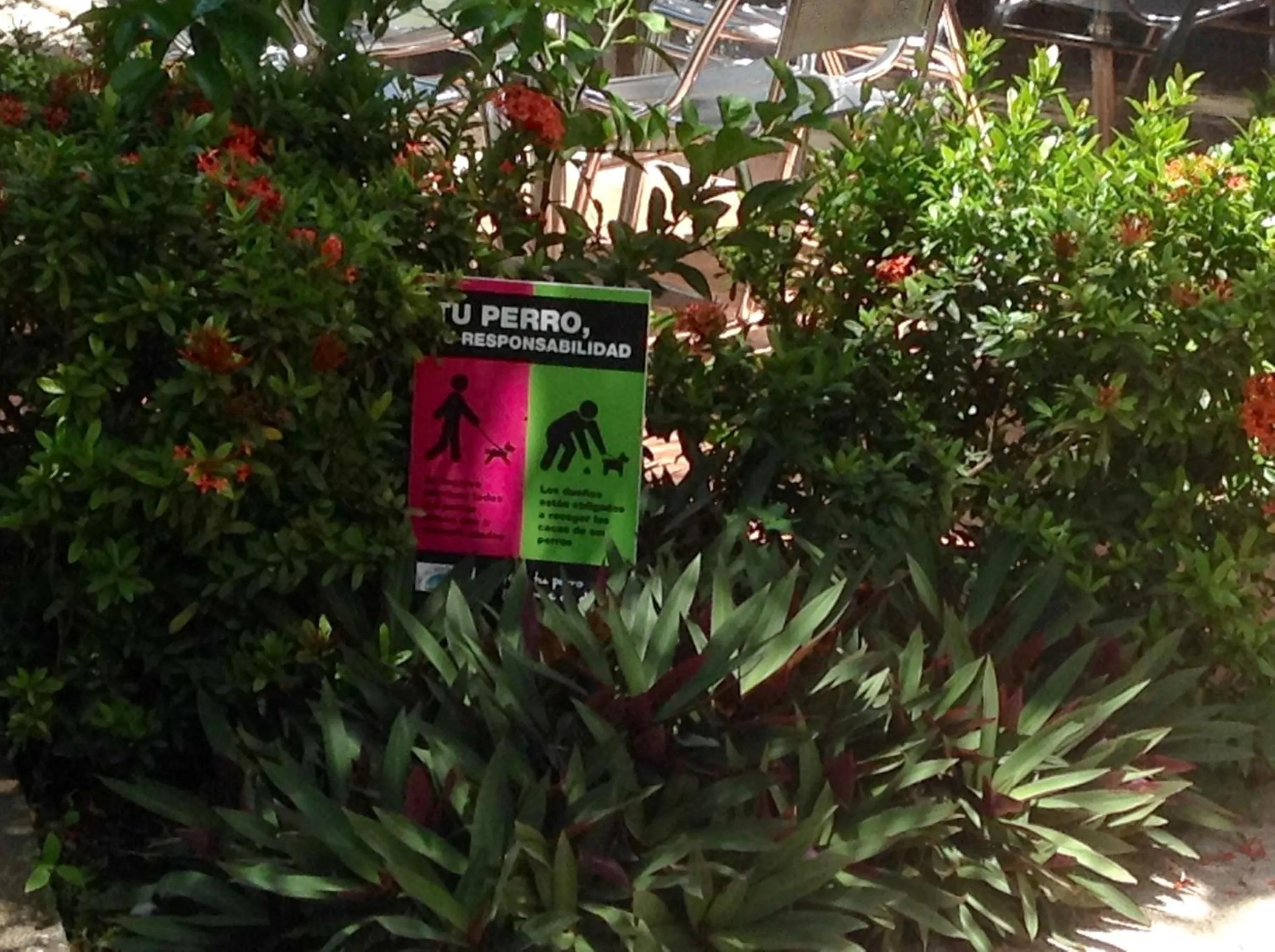 Animals in Samara Beach Hotel