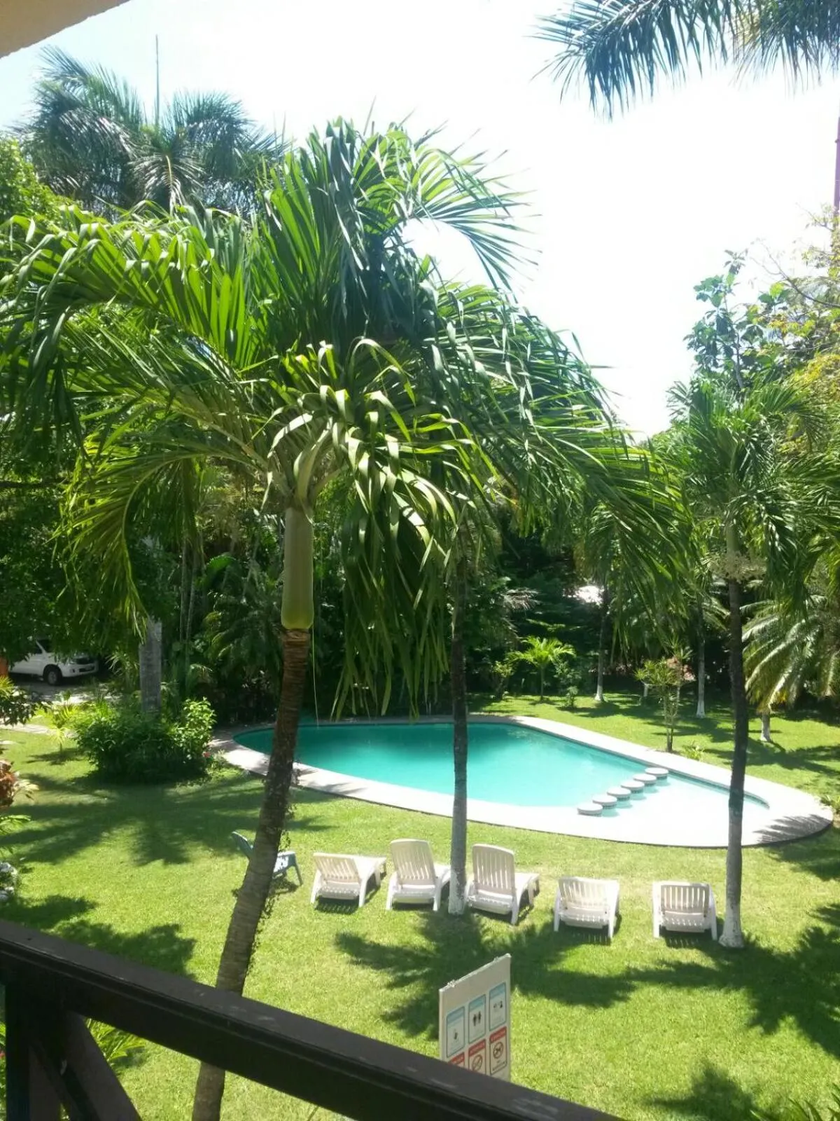 Garden in Samara Beach Hotel