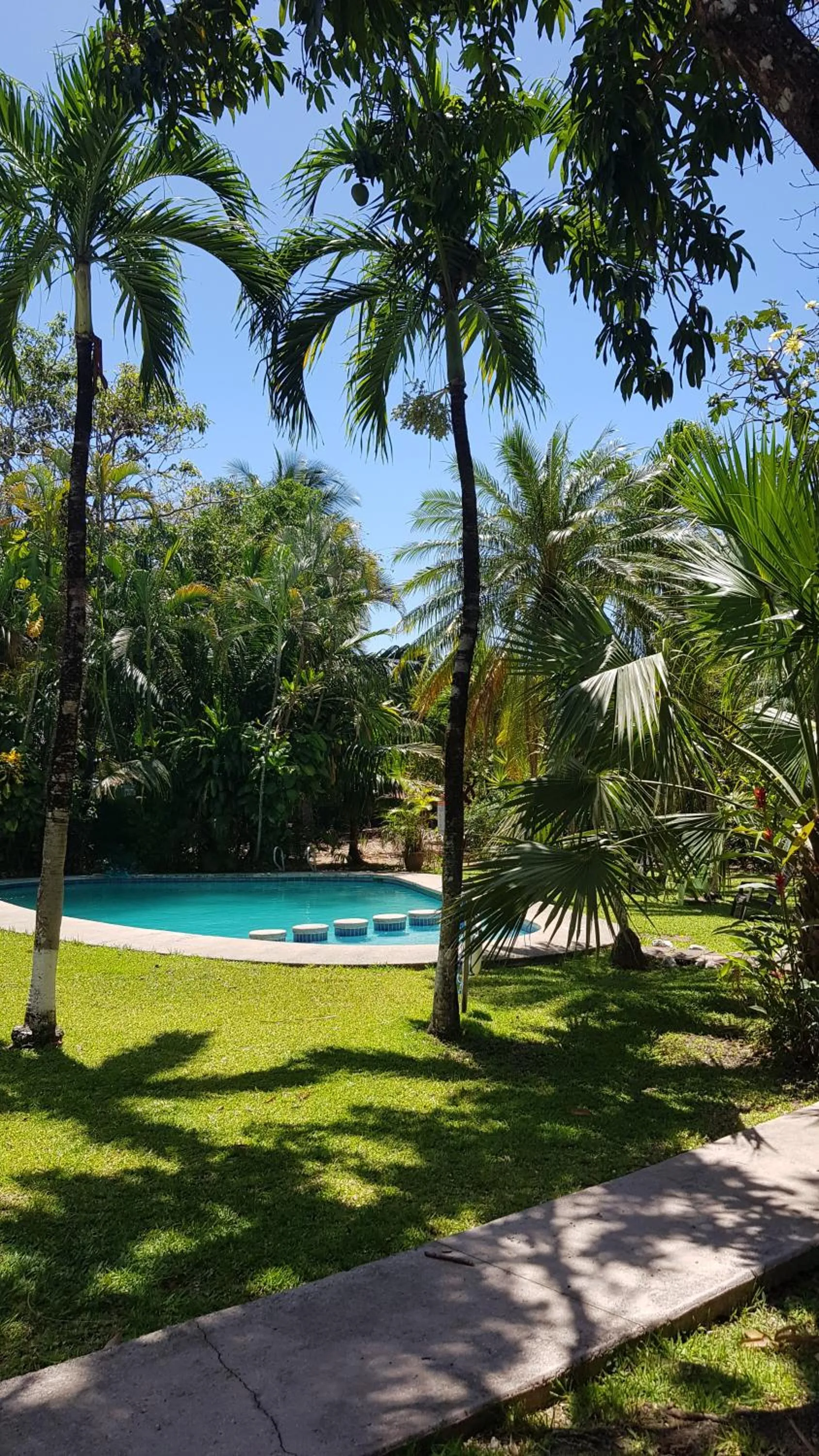 Day in Samara Beach Hotel