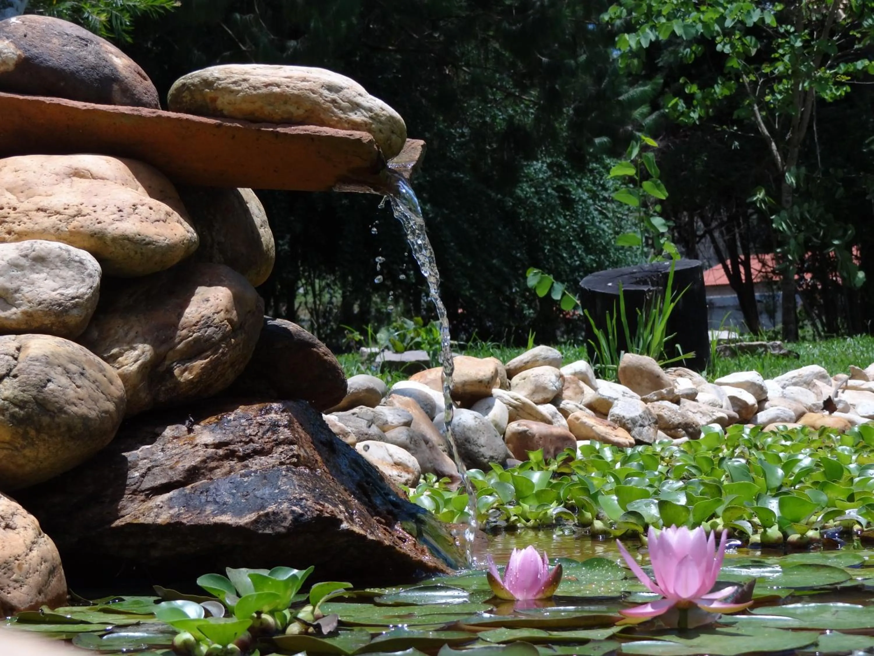 Garden in Pousada Canto da Lua