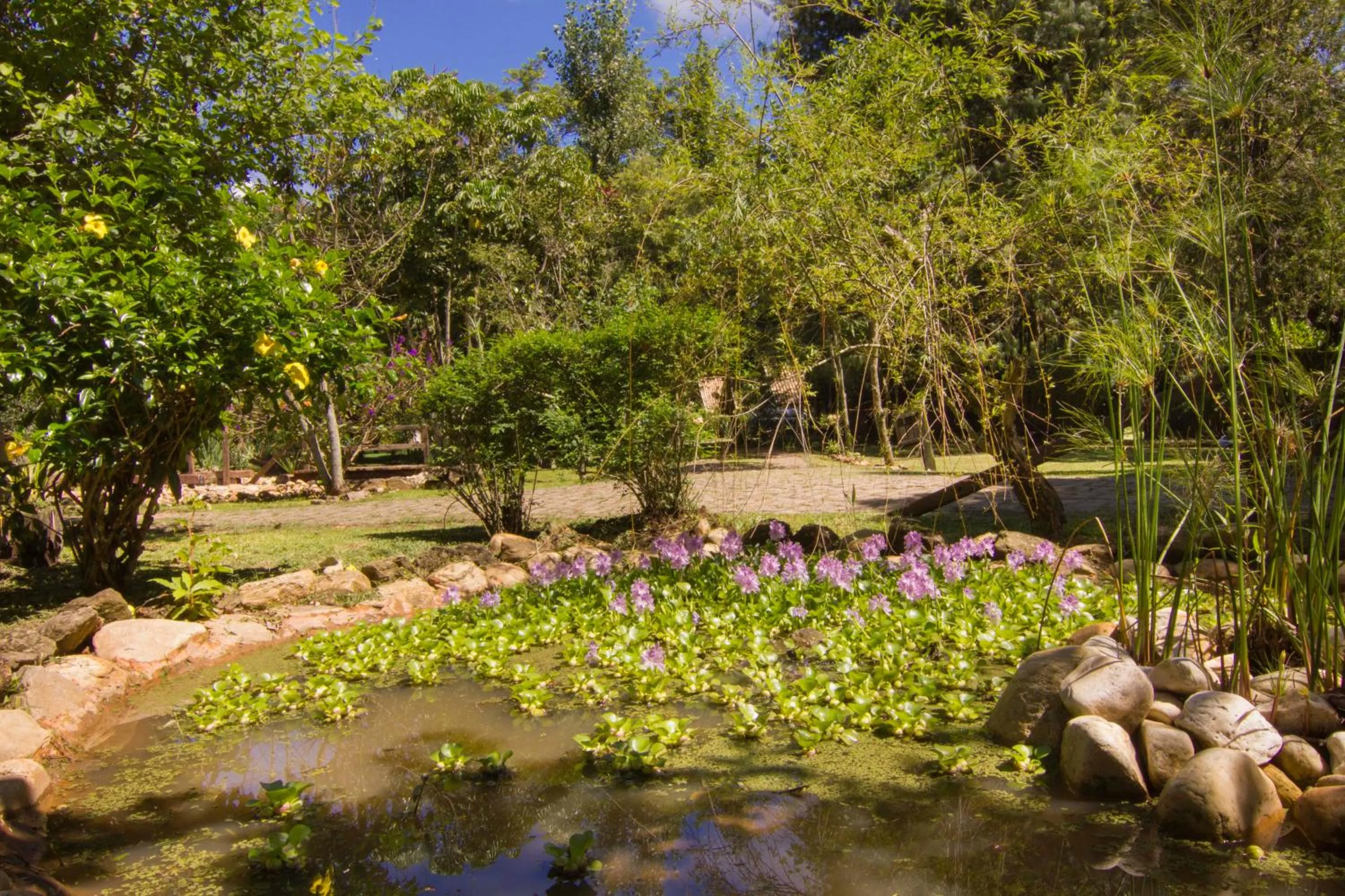 Garden in Pousada Canto da Lua
