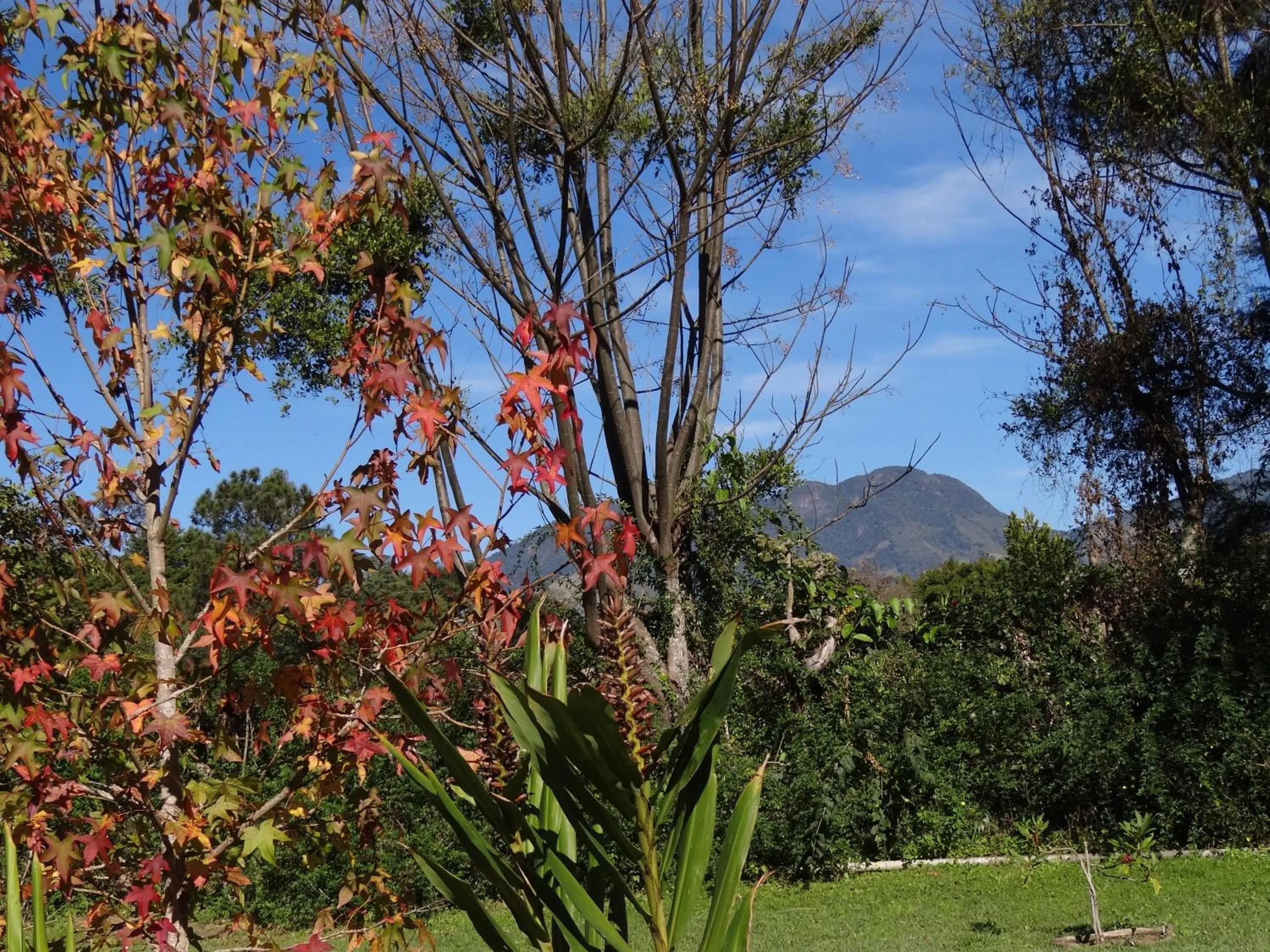 Mountain view in Pousada Canto da Lua