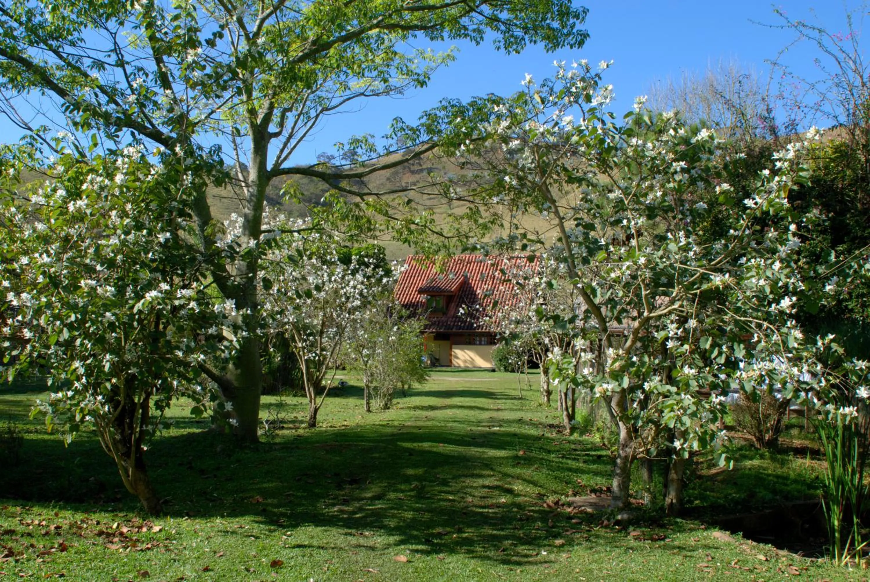 Garden view in Pousada Canto da Lua