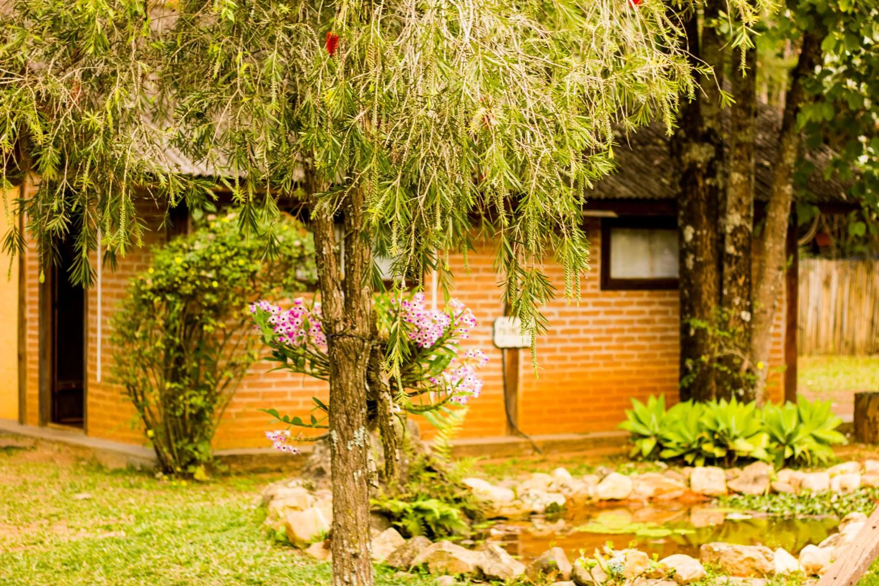 Garden in Pousada Canto da Lua