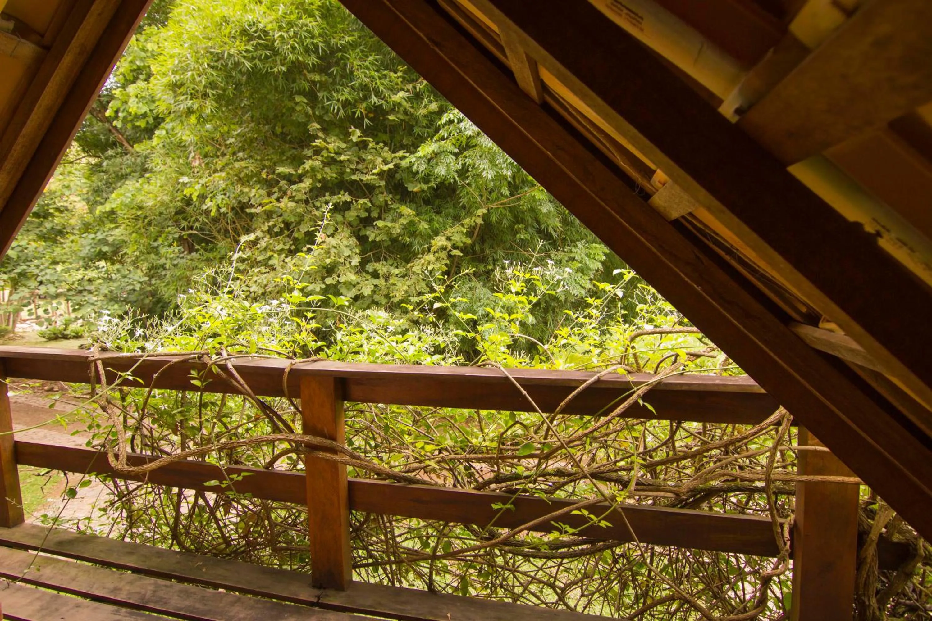 View (from property/room) in Pousada Canto da Lua