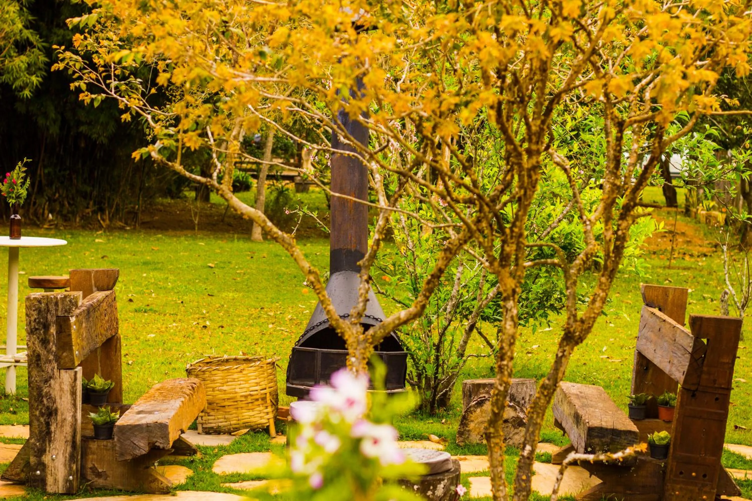 Garden in Pousada Canto da Lua
