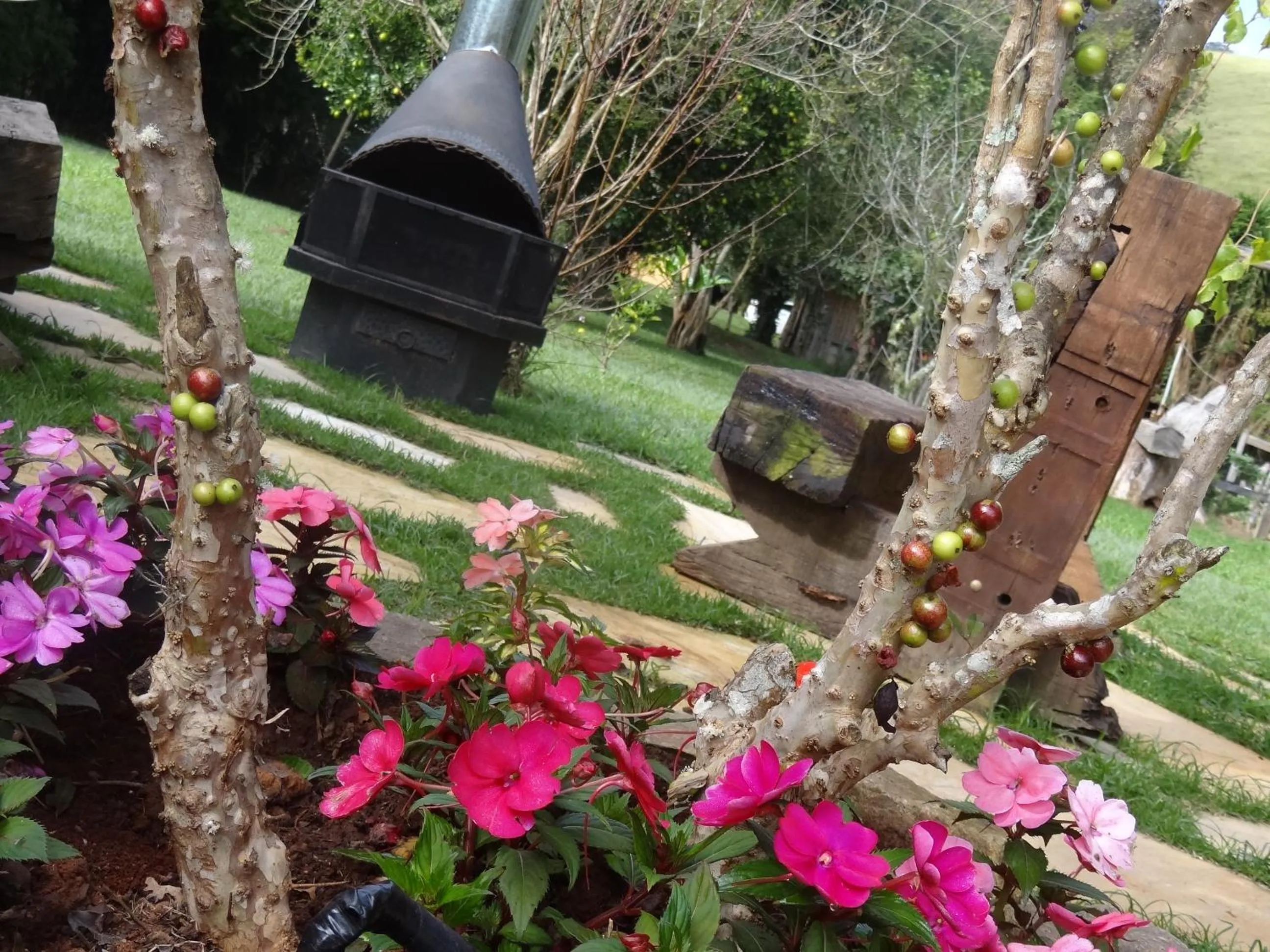 Garden in Pousada Canto da Lua