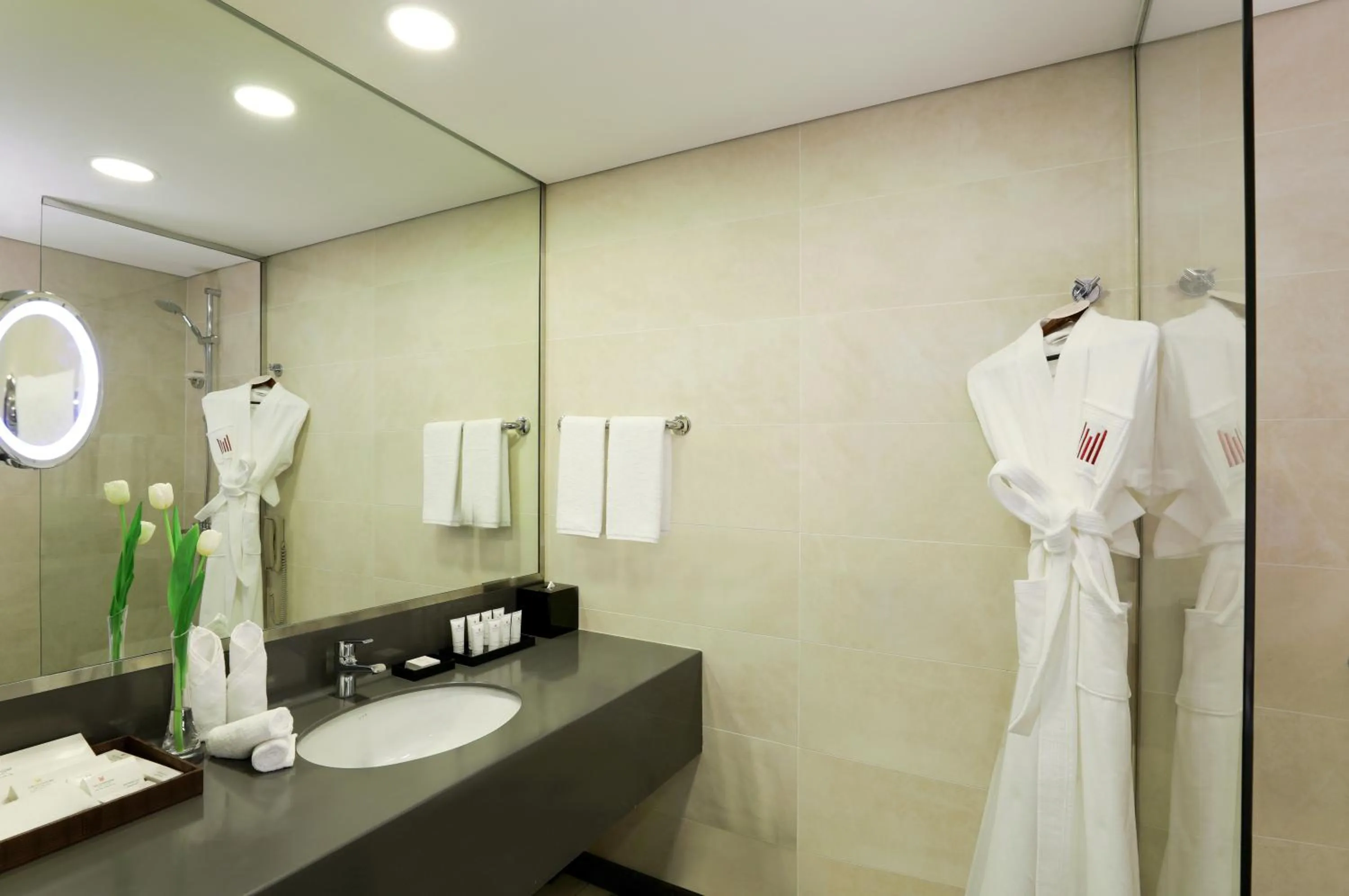 Bathroom in Millennium Madinah Airport