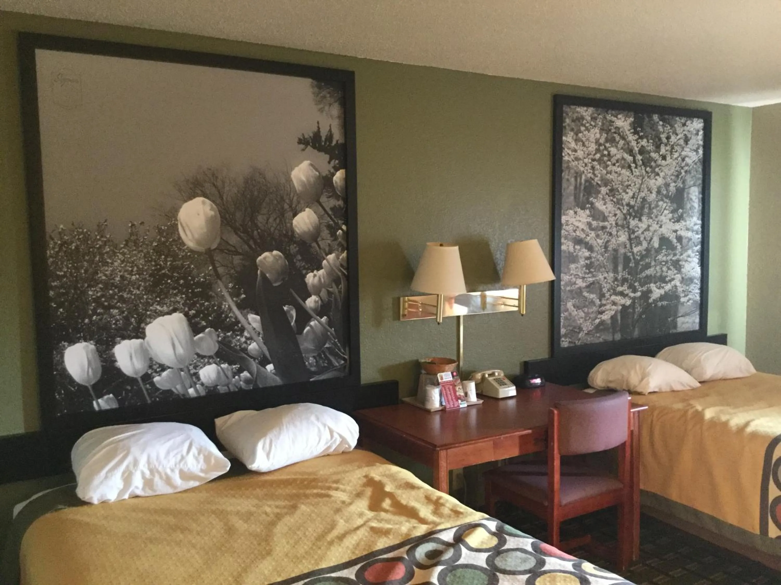 Bedroom, Bed in Super 8 by Wyndham Youngstown/Austintown