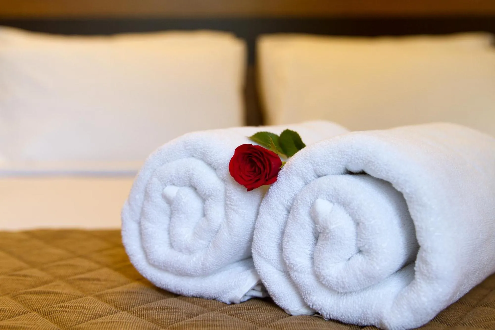 Bedroom, Bed in Sanctum Suites Whitefield Bangalore