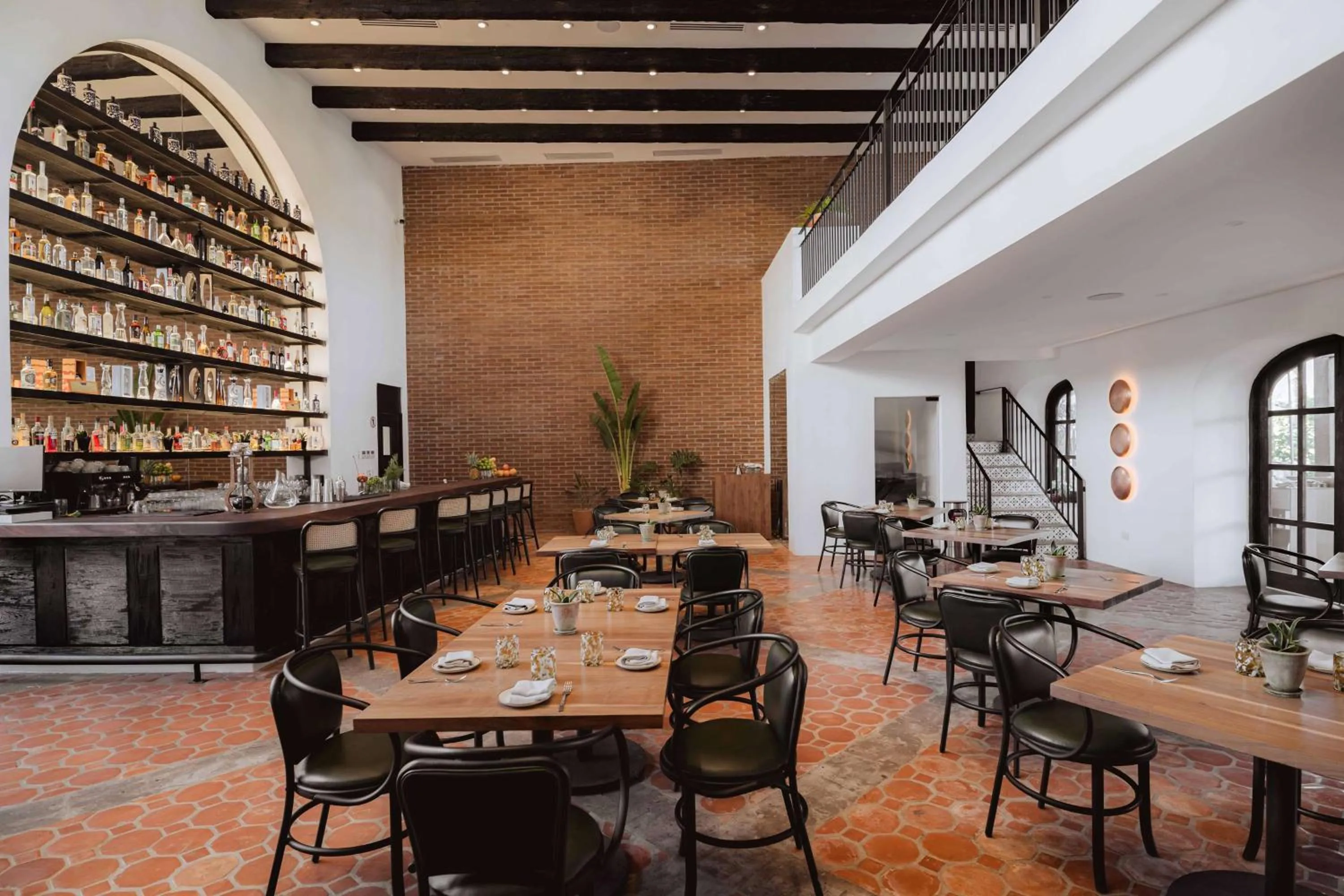 Lounge or bar in Tropicana Los Cabos, Tapestry Collection by Hilton