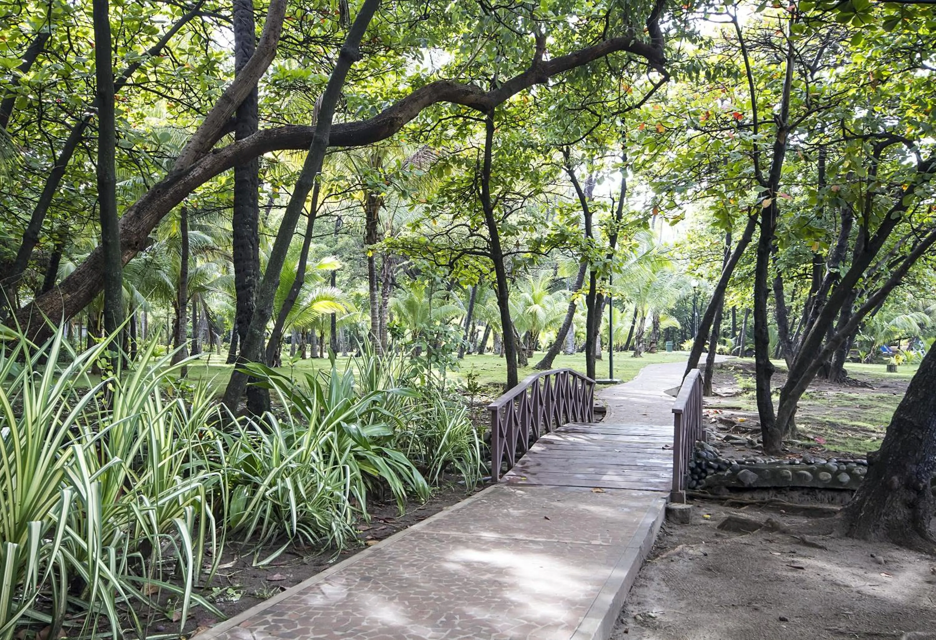 Natural landscape in Barceló Montelimar All Inclusive