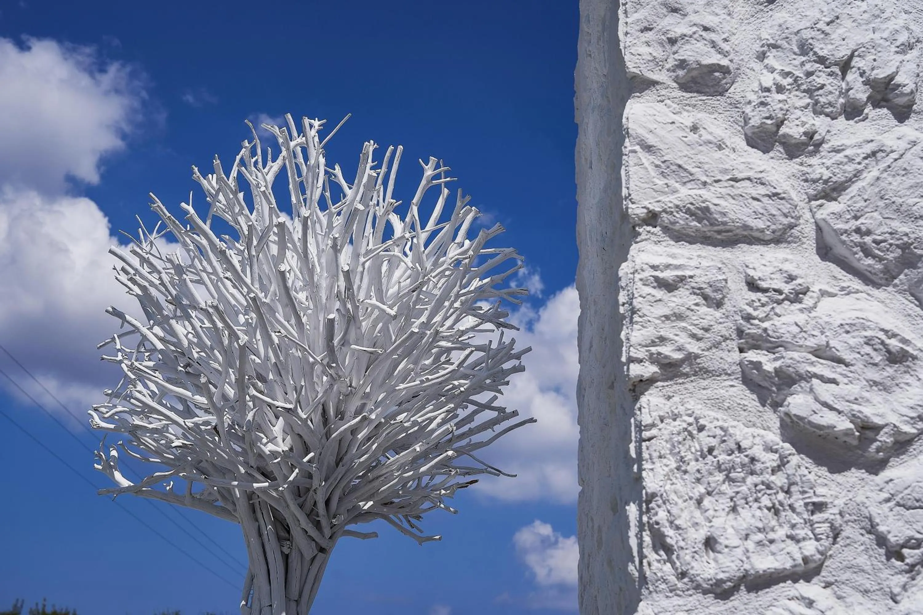 On site in Petri Suites