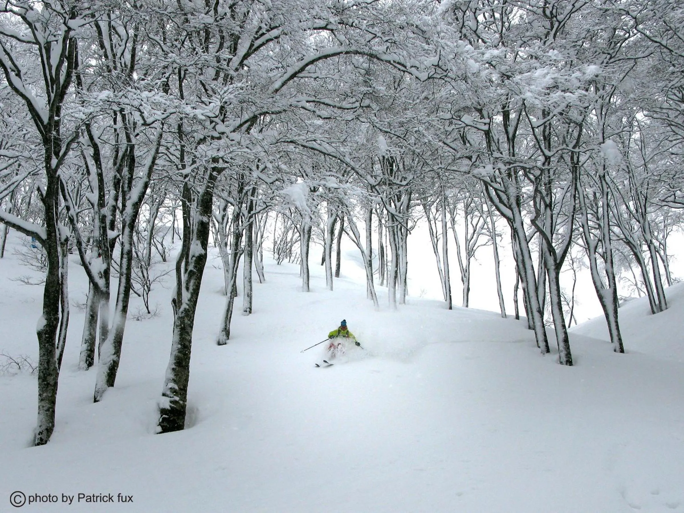 Winter in Hotel Green Plaza Hakuba
