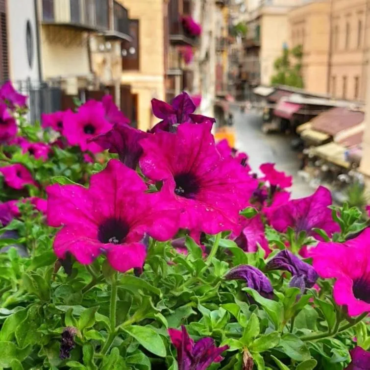 Il Rosone Luxury B&B