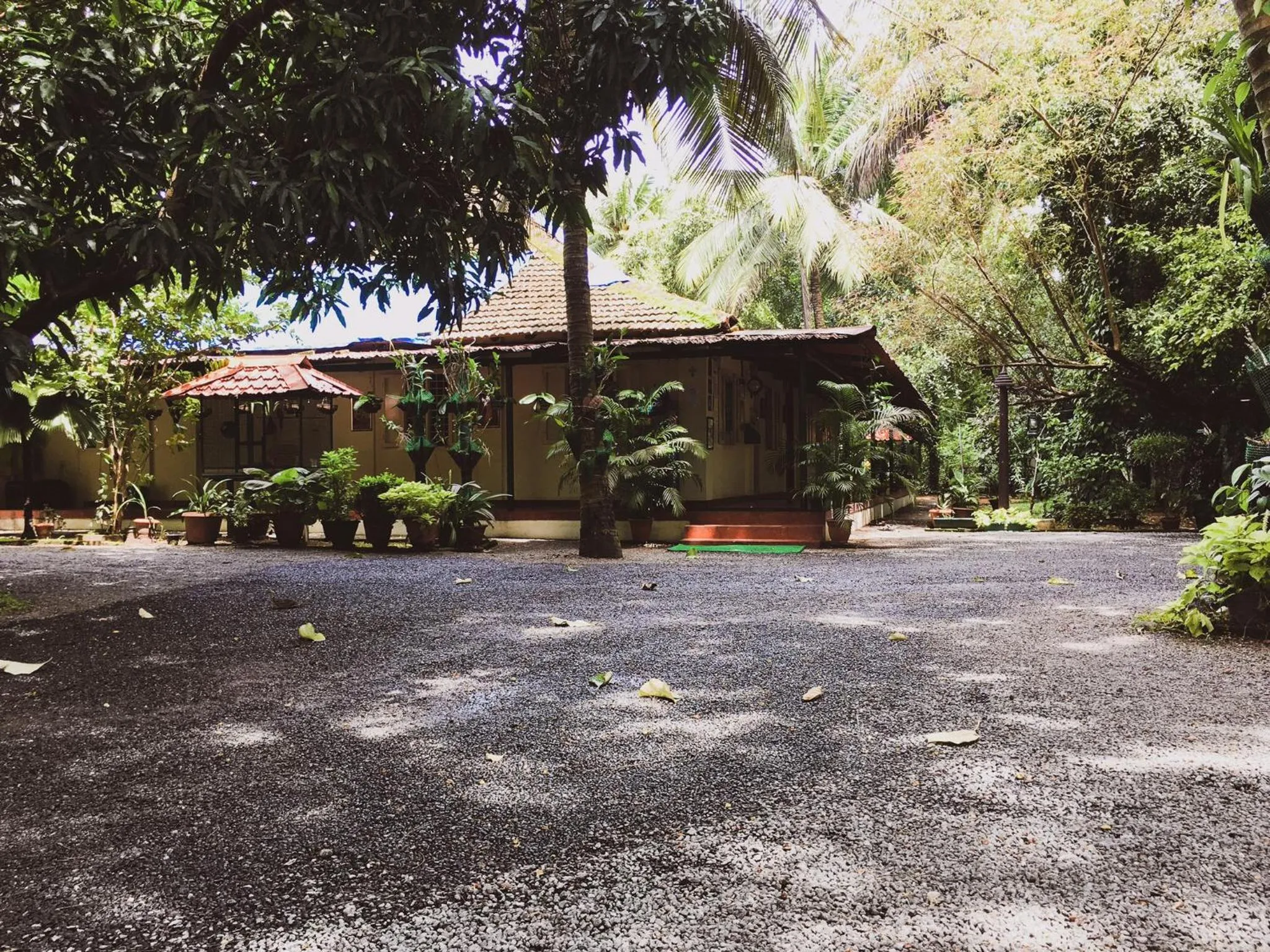 Palm Grove Service Villa